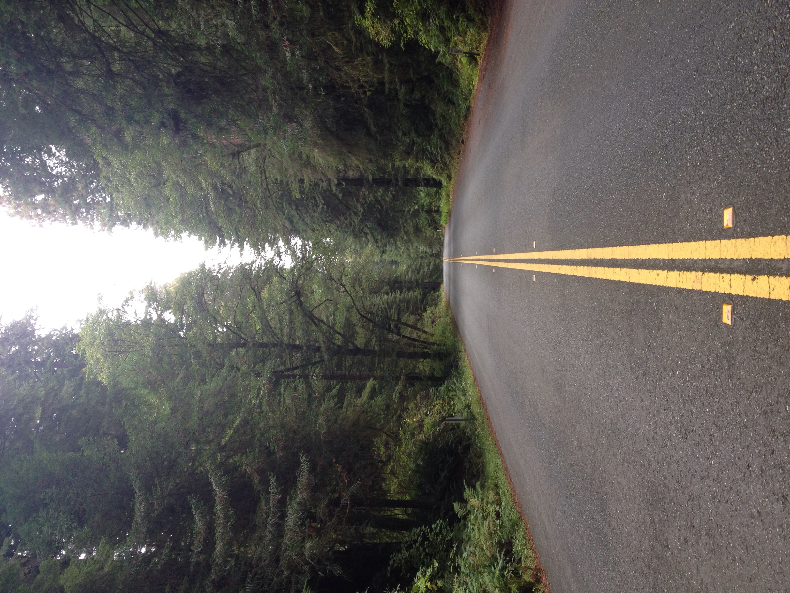 Day Two: Newton D. Drowry Scenic Parkway