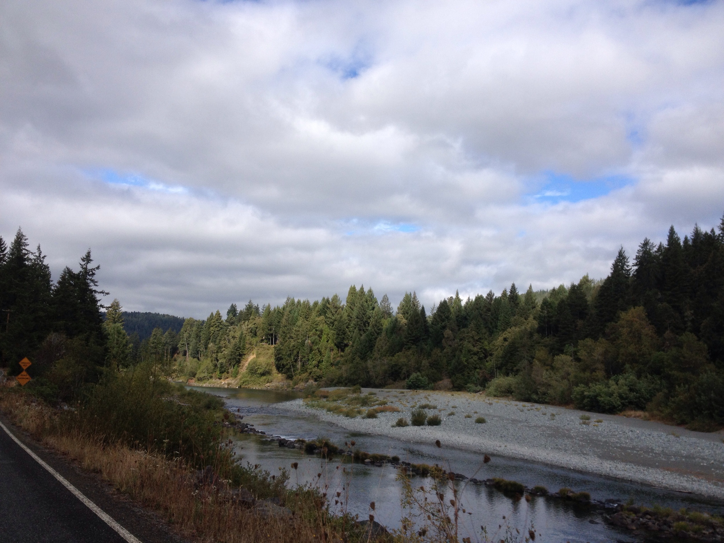 Day Three: Jedidiah Smith Redwood Forest