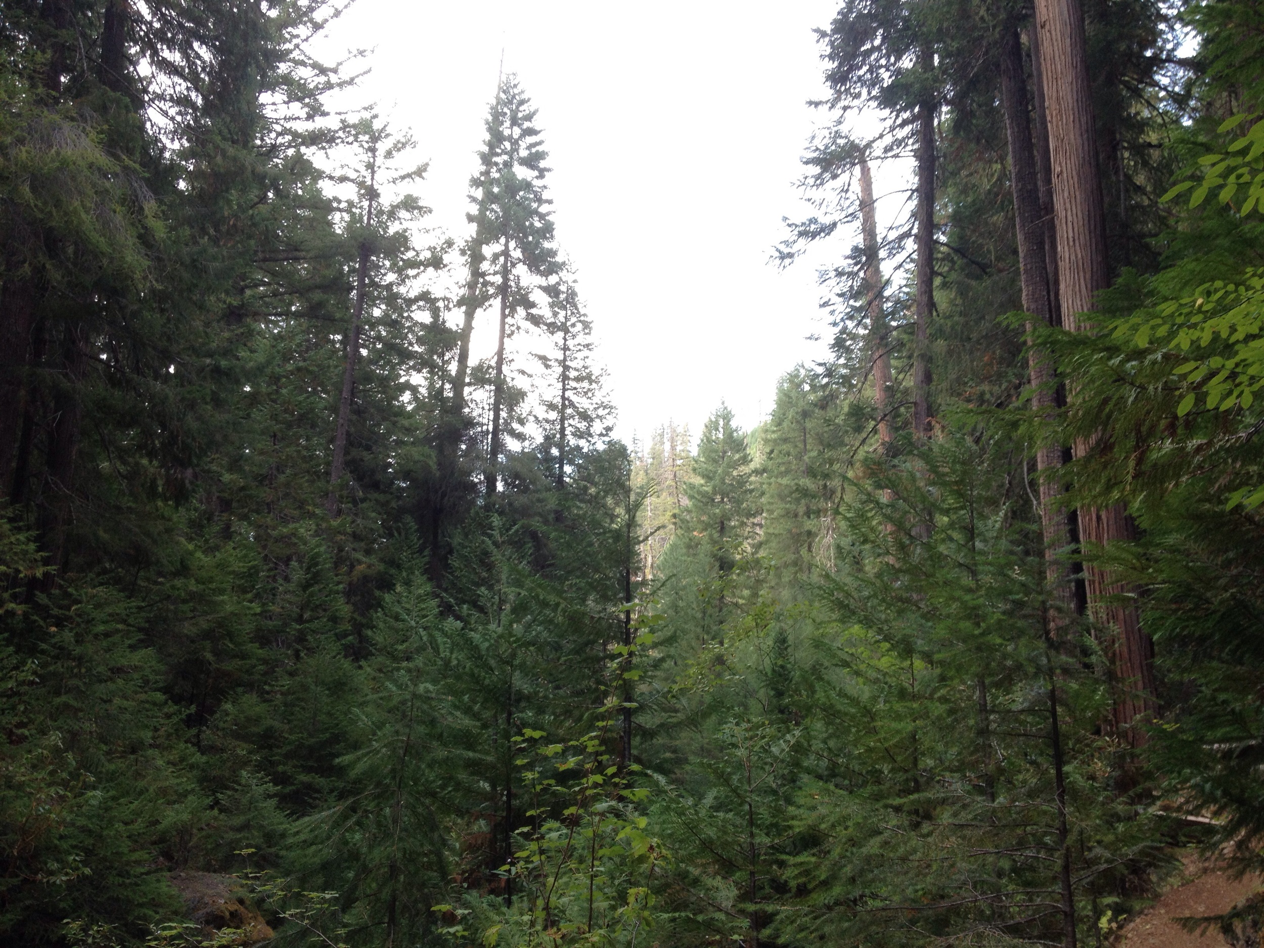 Day Three: No Name Trail