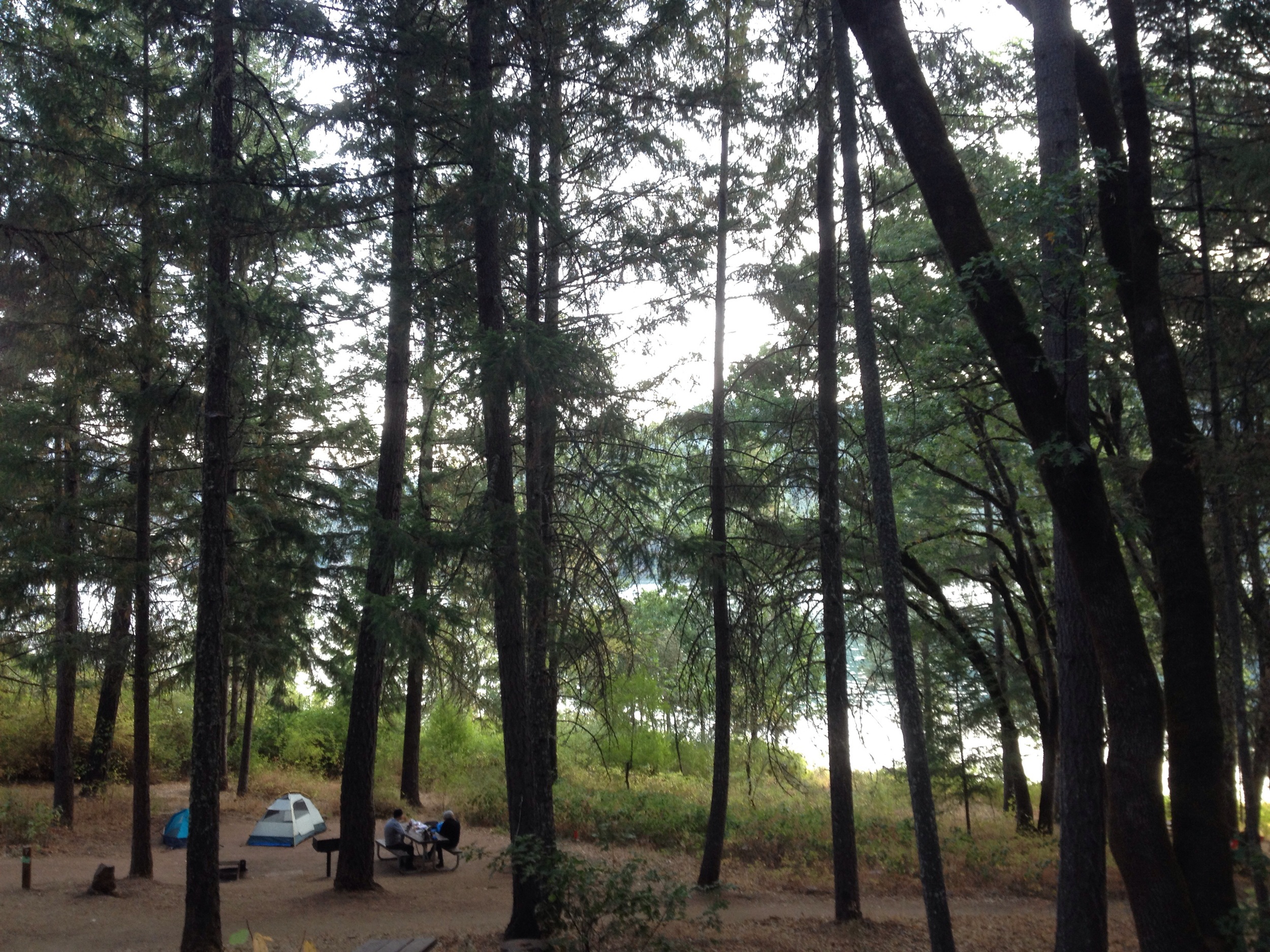 Day One: Mary Smith Campground