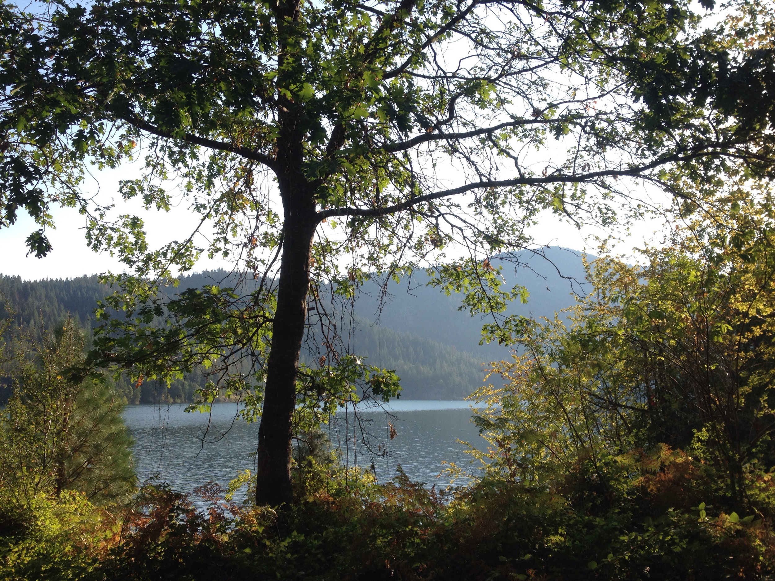 Day One: Mary Smith Campground