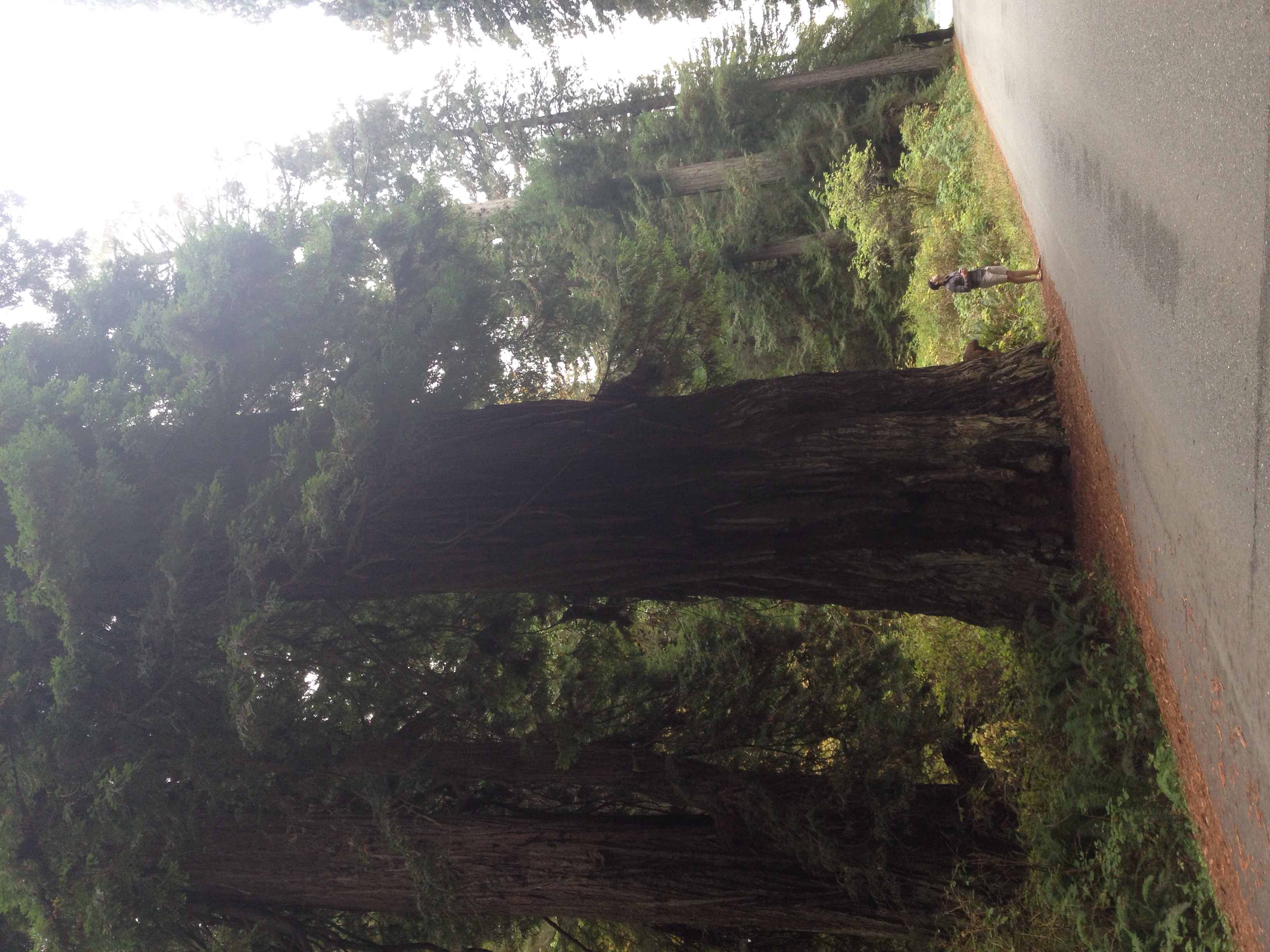 Day Two: Newton D. Drowry Scenic Parkway