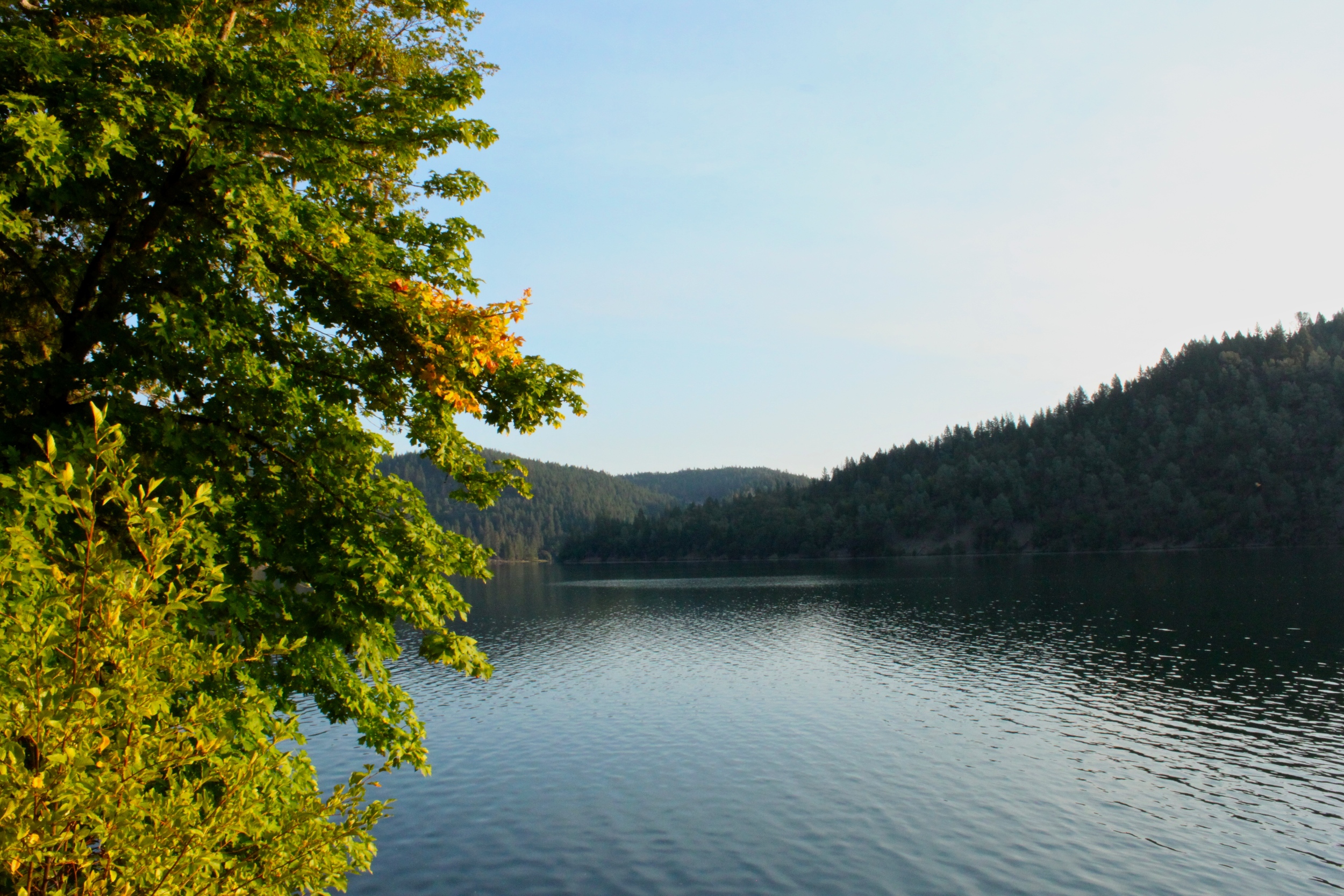 View of Lewiston Lake at&nbsp;Mary Smith Campground
