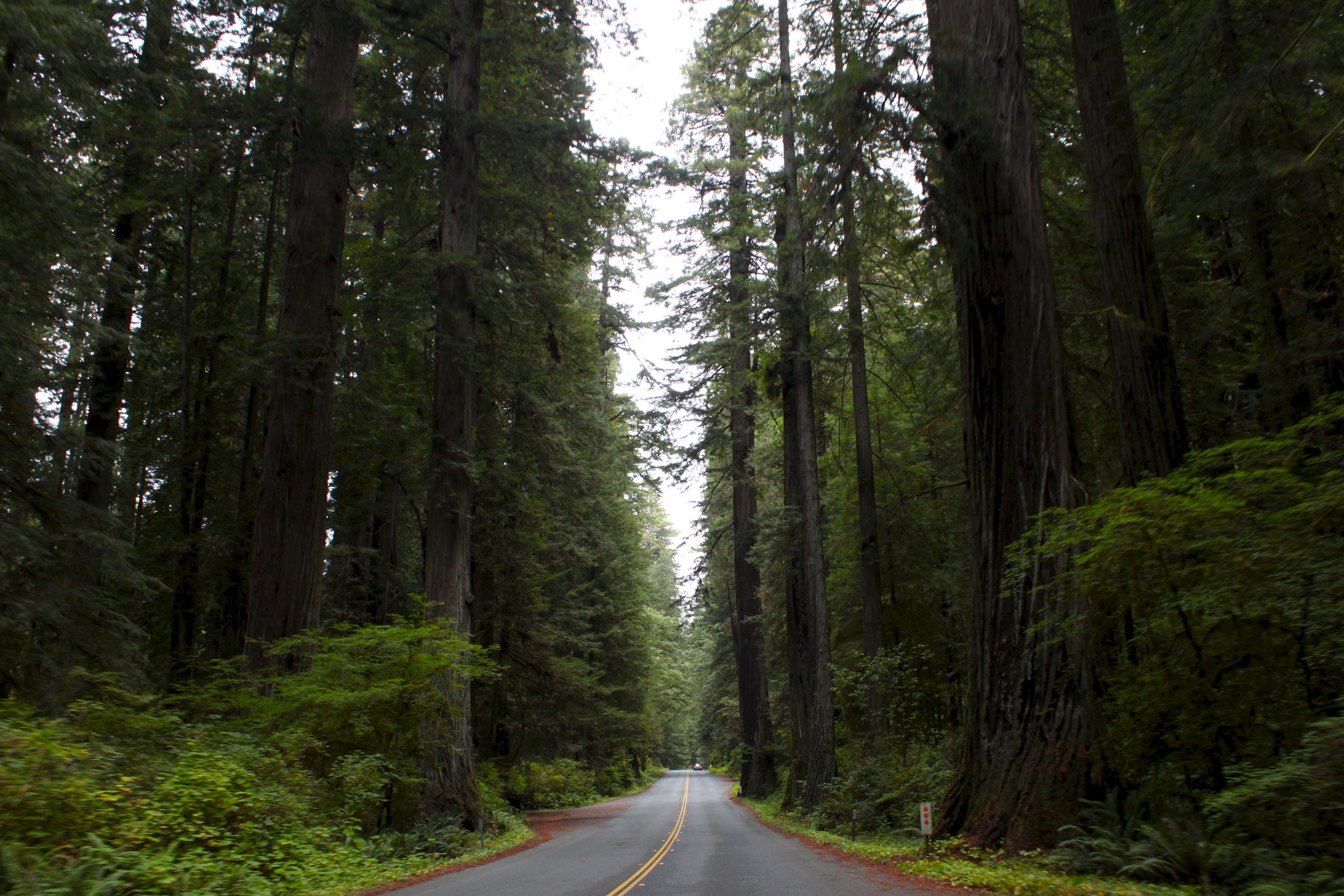 Newton B. Drury Scenic Parkway