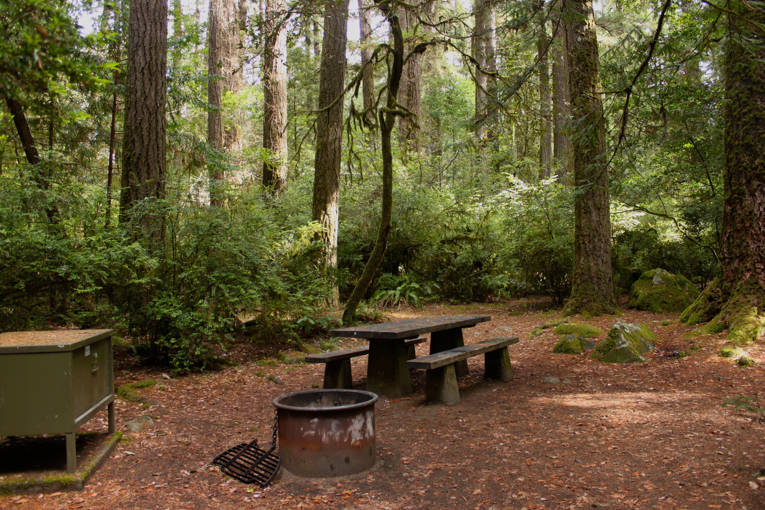 Our Spot at Jedediah State Park
