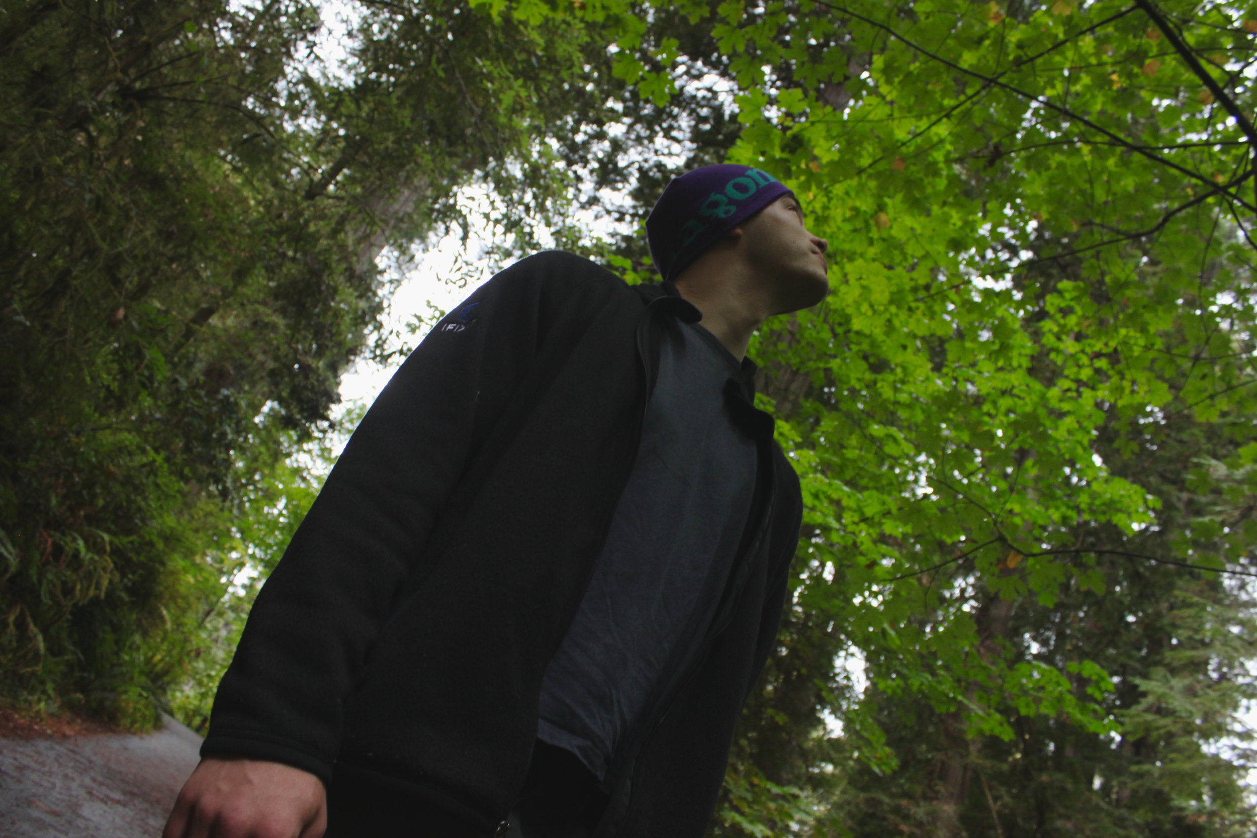 Stout Grove