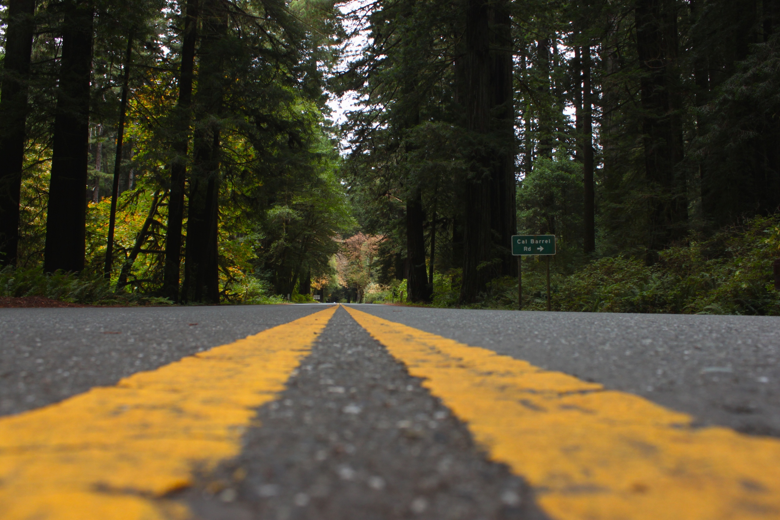 Newton B. Drury Scenic Parkway