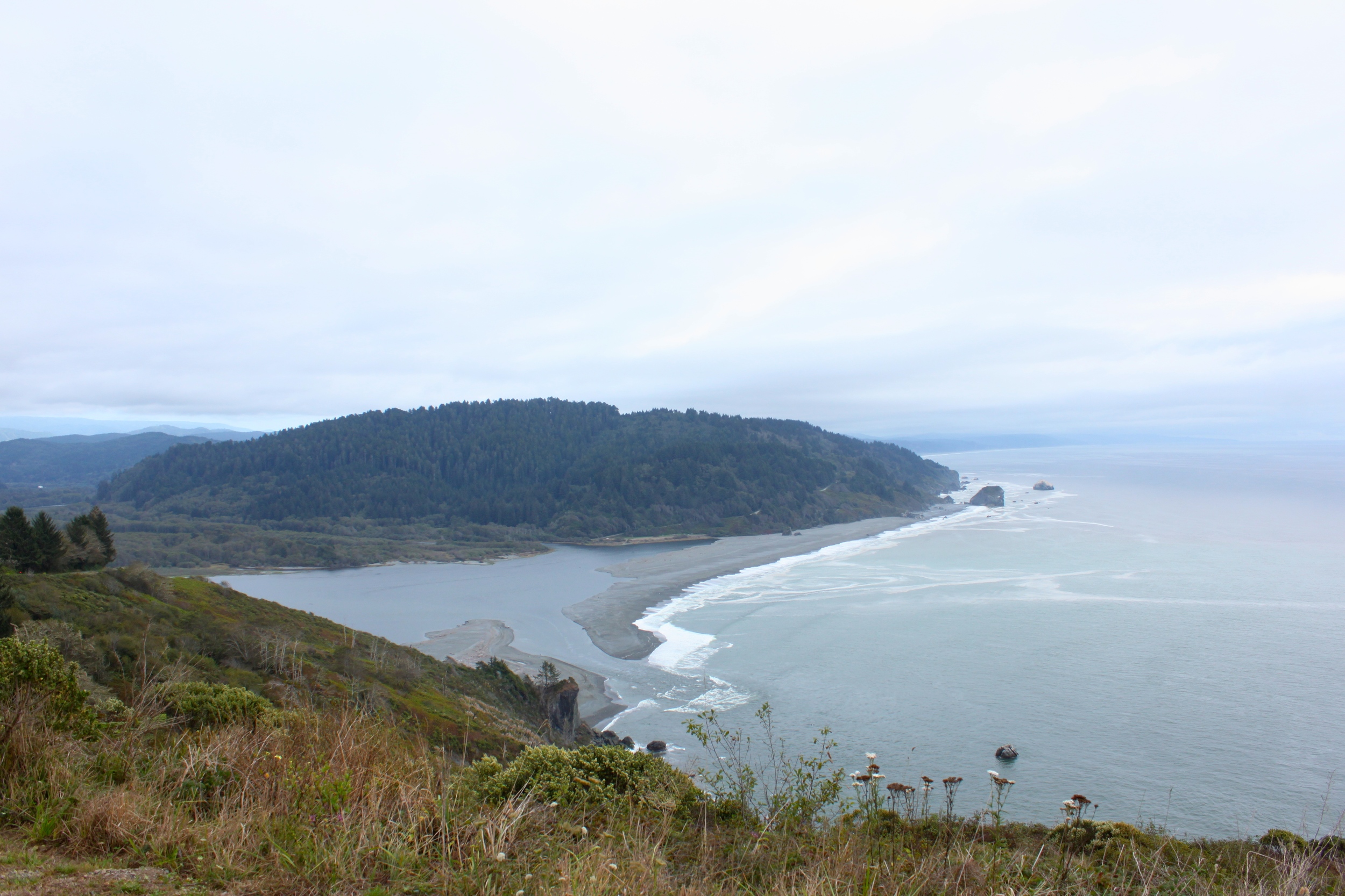 Requa Viewpoint