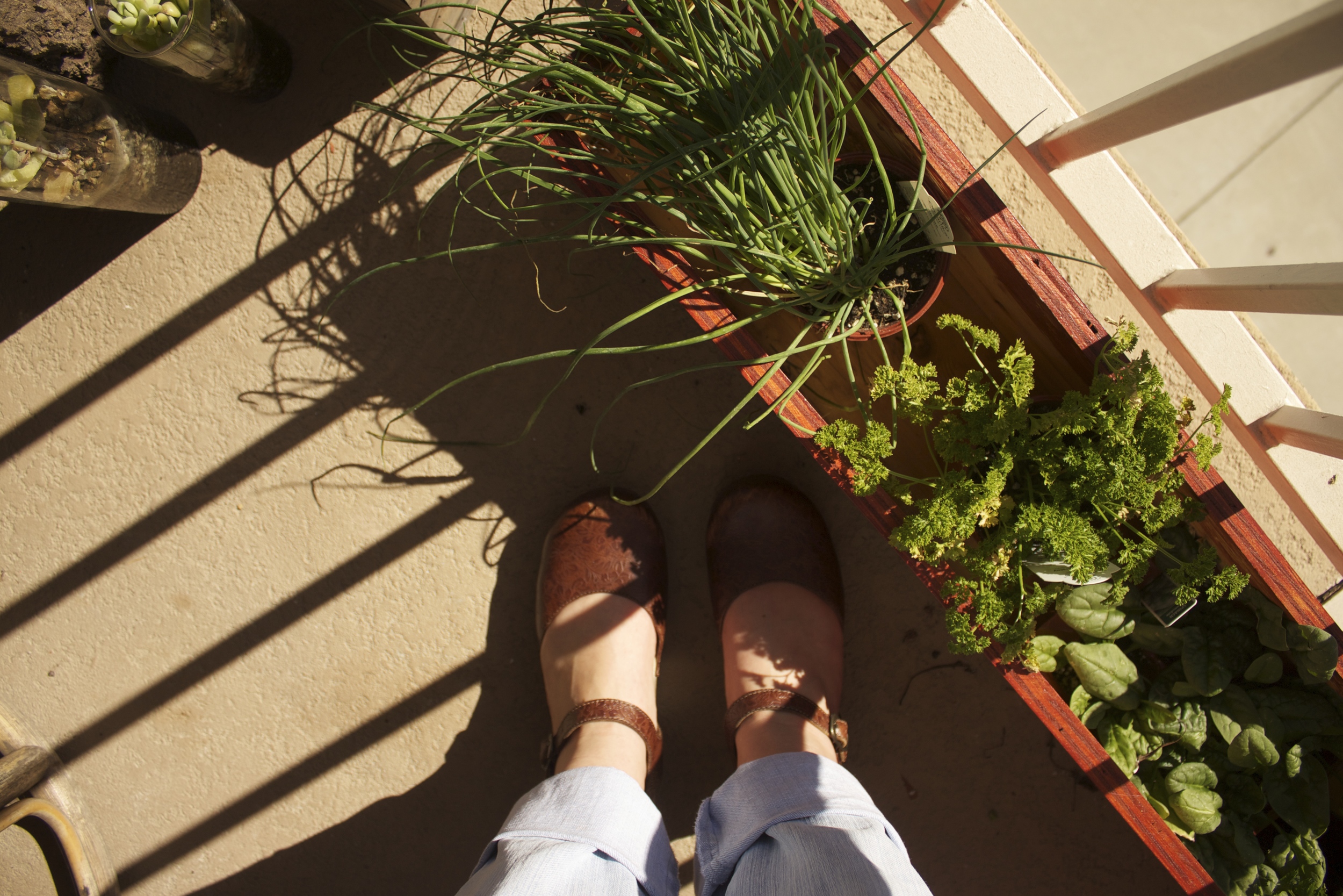 A GARDEN FOR MY PATIO
