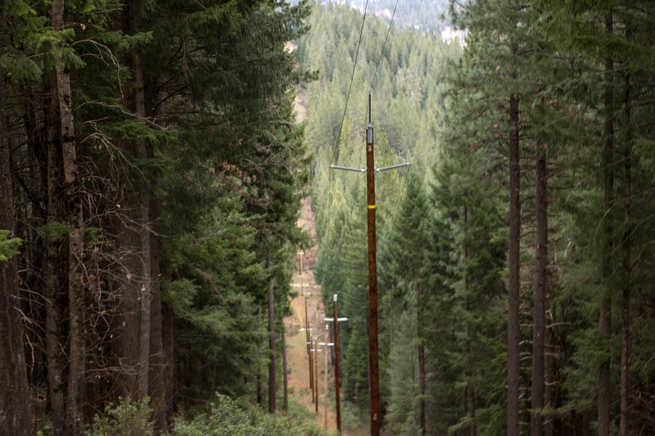 oregon-2.jpg