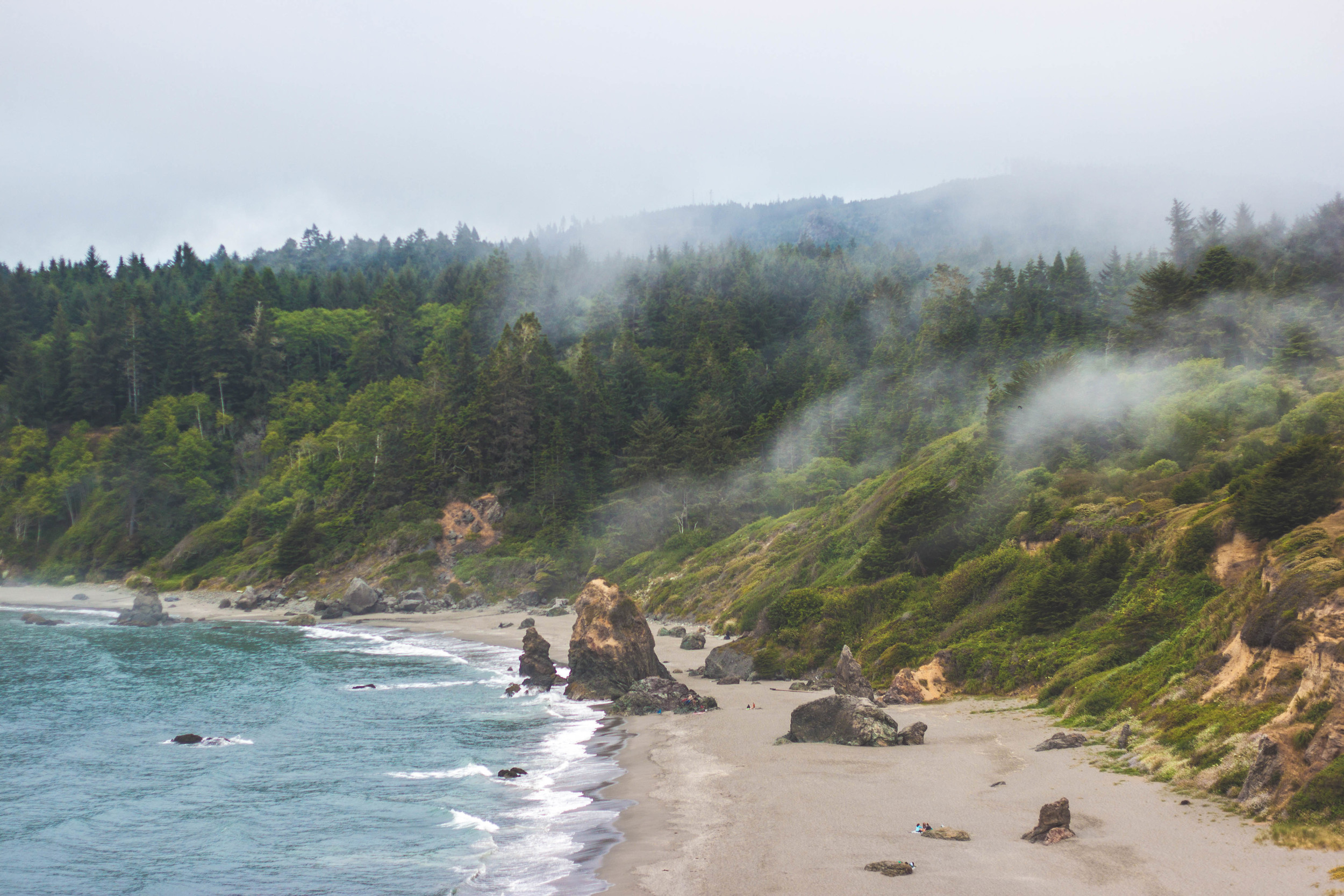 TRINIDAD, CA