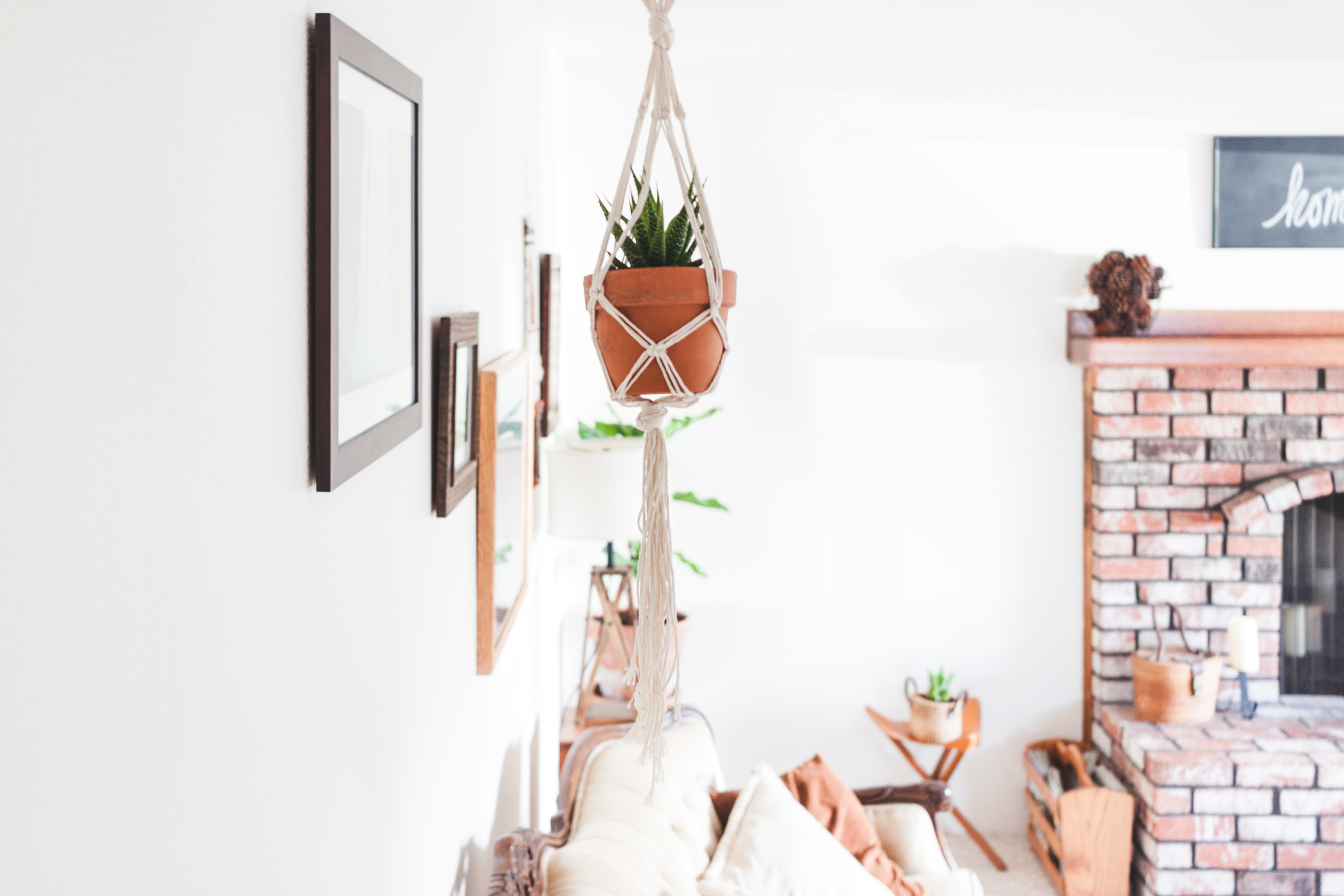 FOR THE PLANT LOVERS