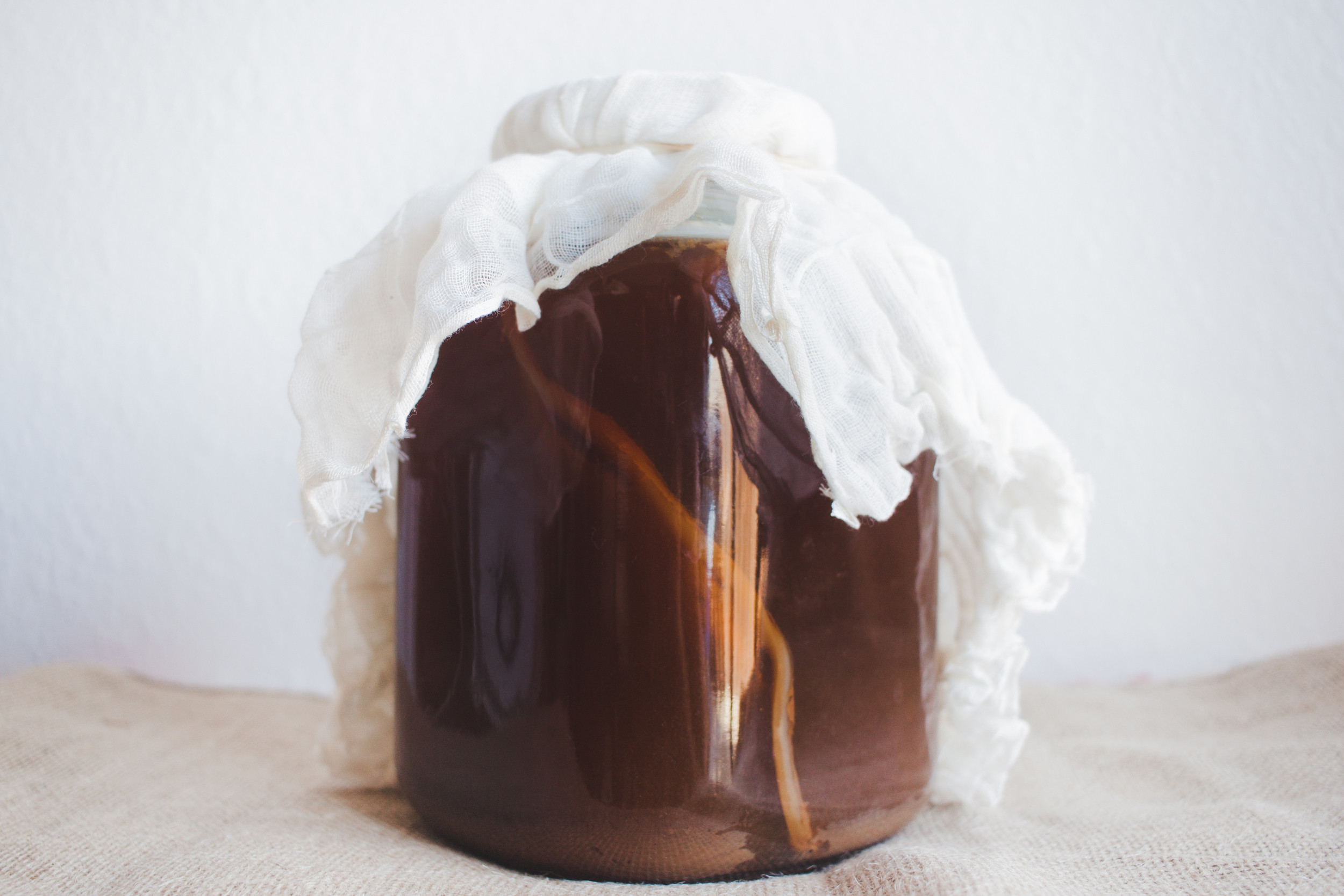 KOMBUCHA STARTER