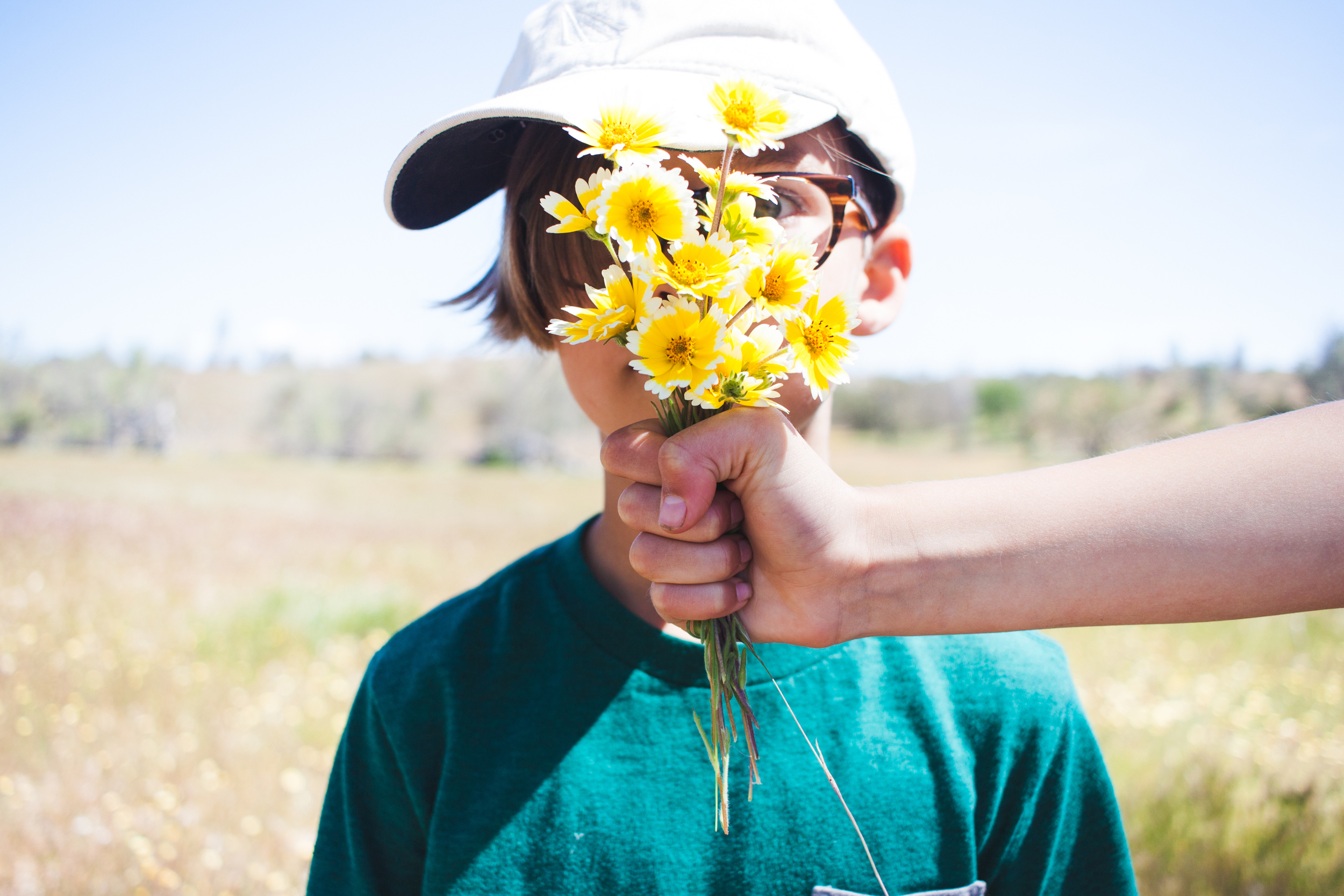 WILD + FREE