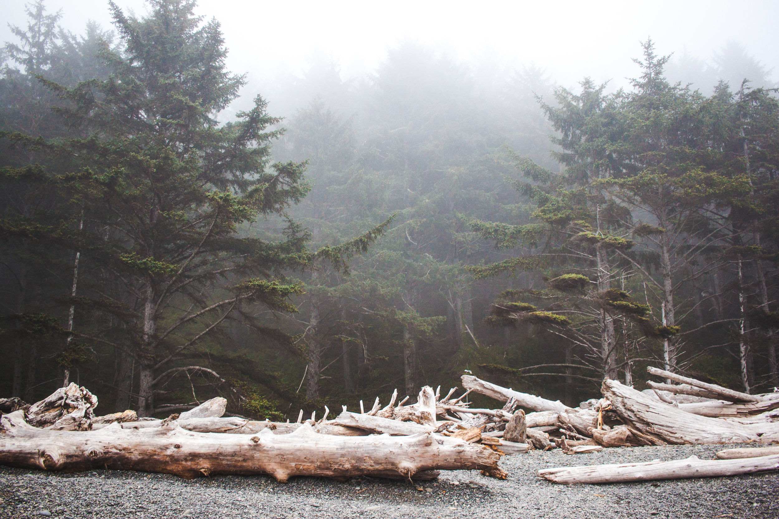 OLYMPIC PENINSULA