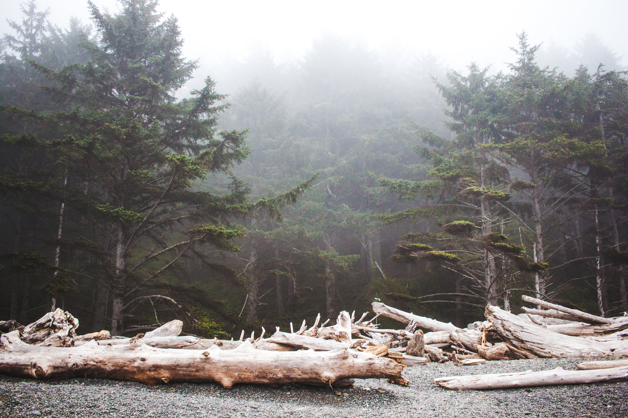 OLYMPIC PENINSULA