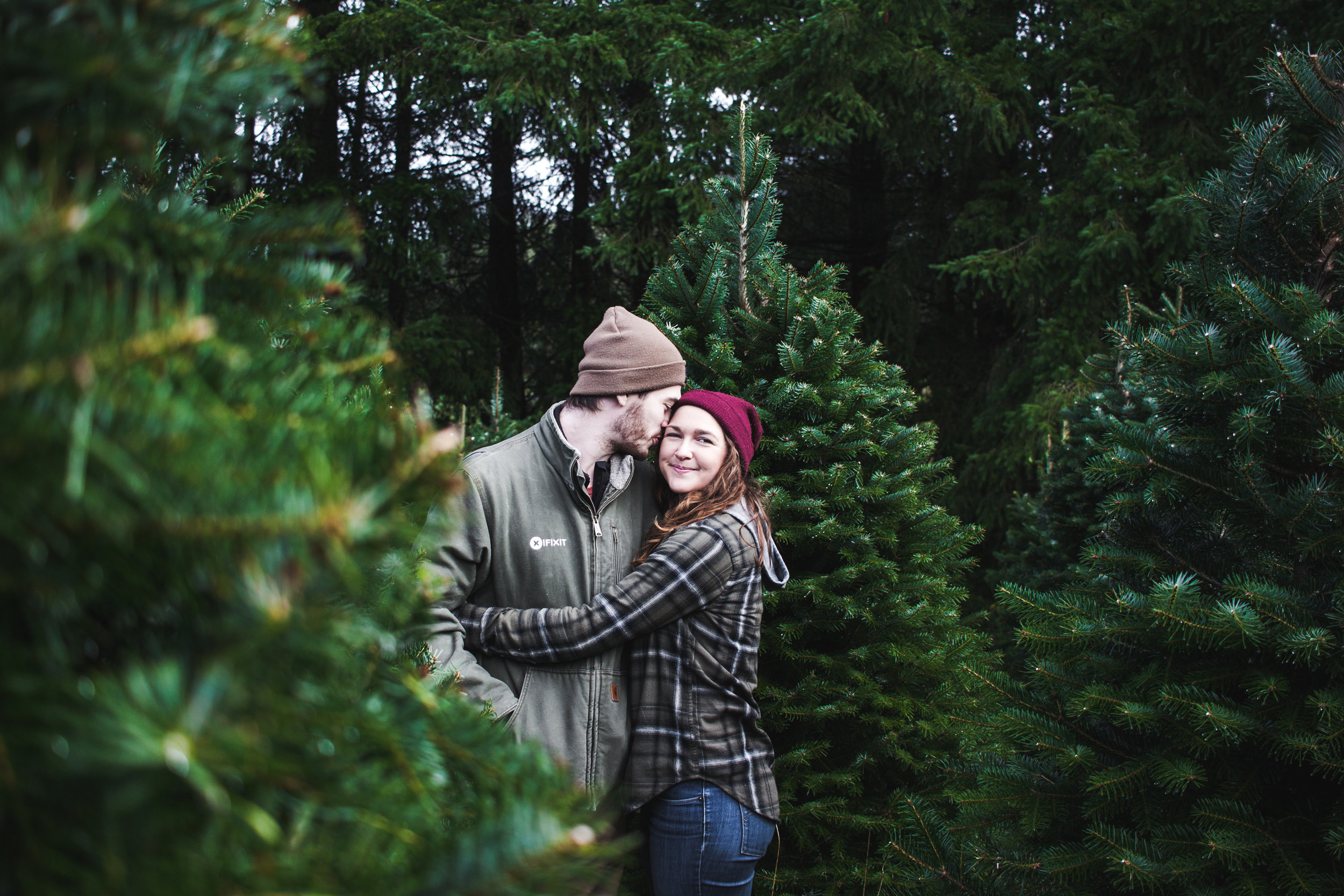 OH CHRISTMAS TREE OH CHRISTMAS TREE