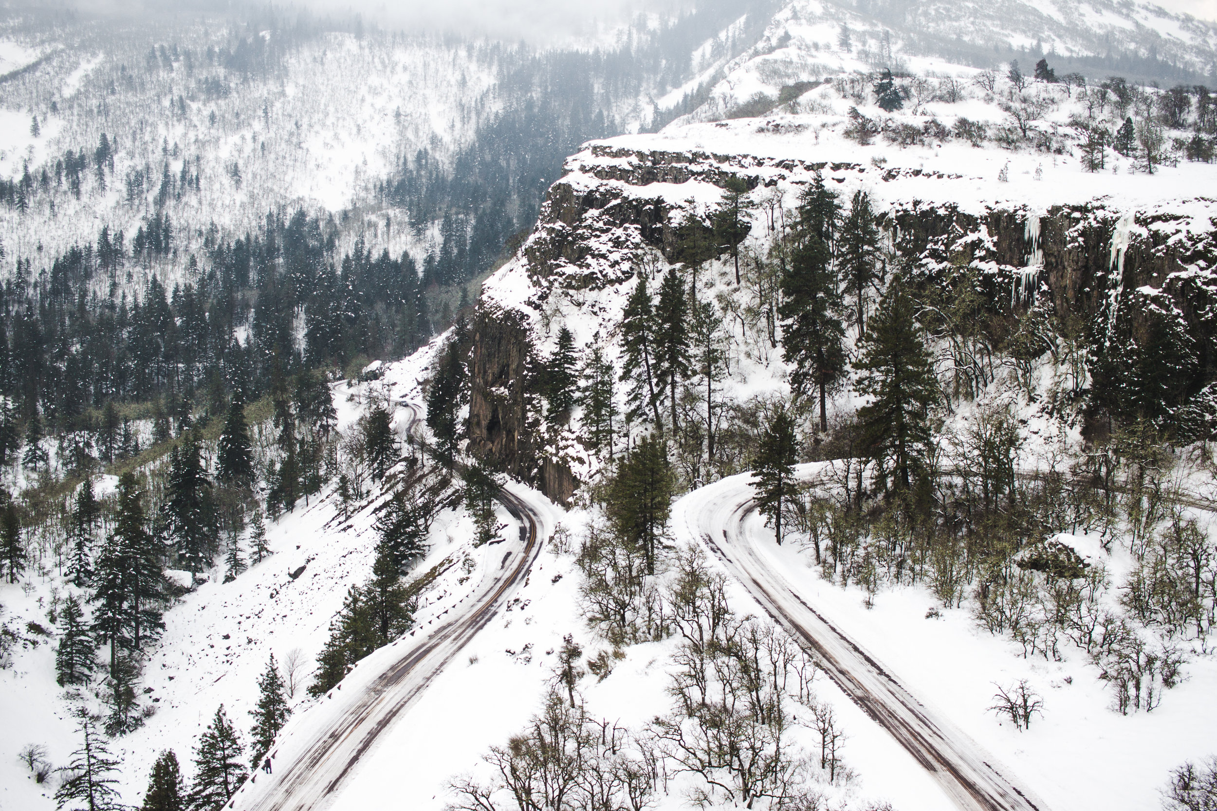ROWENA CREST