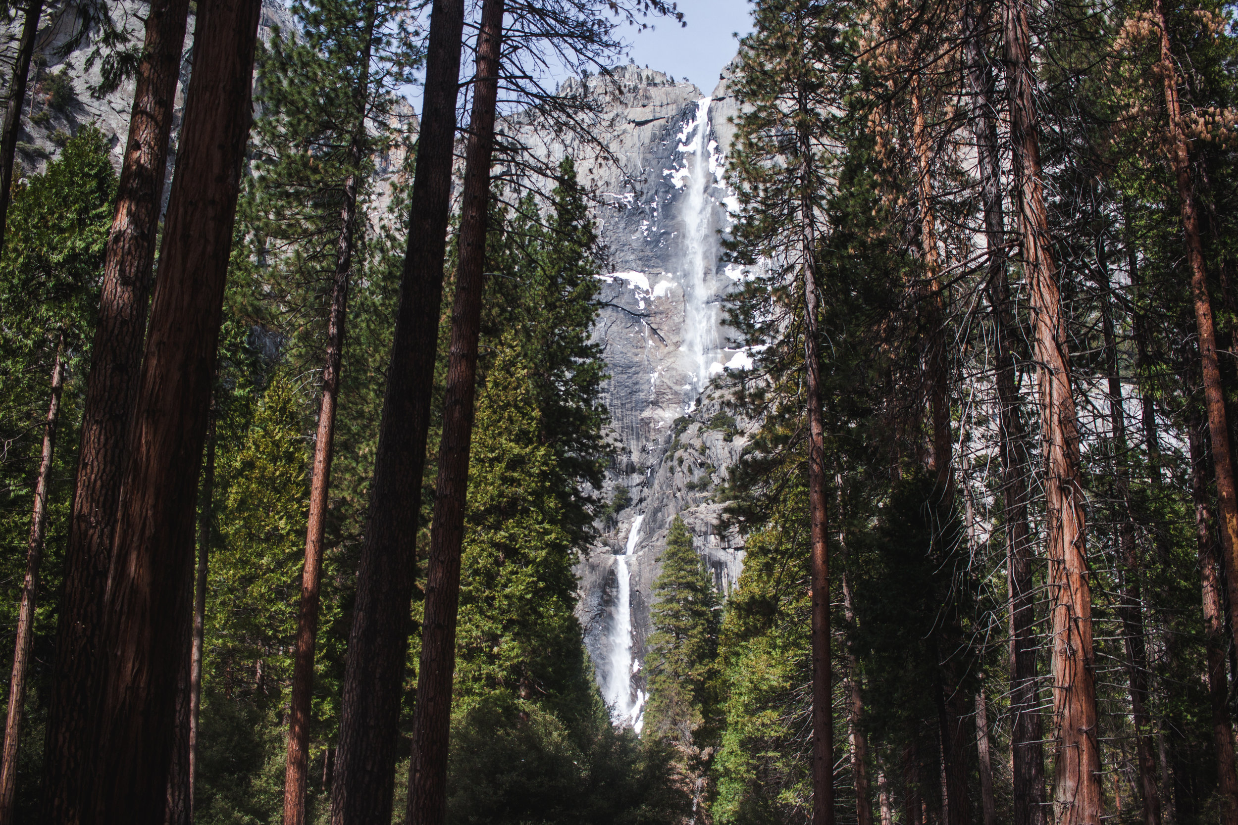 trip-19.jpg