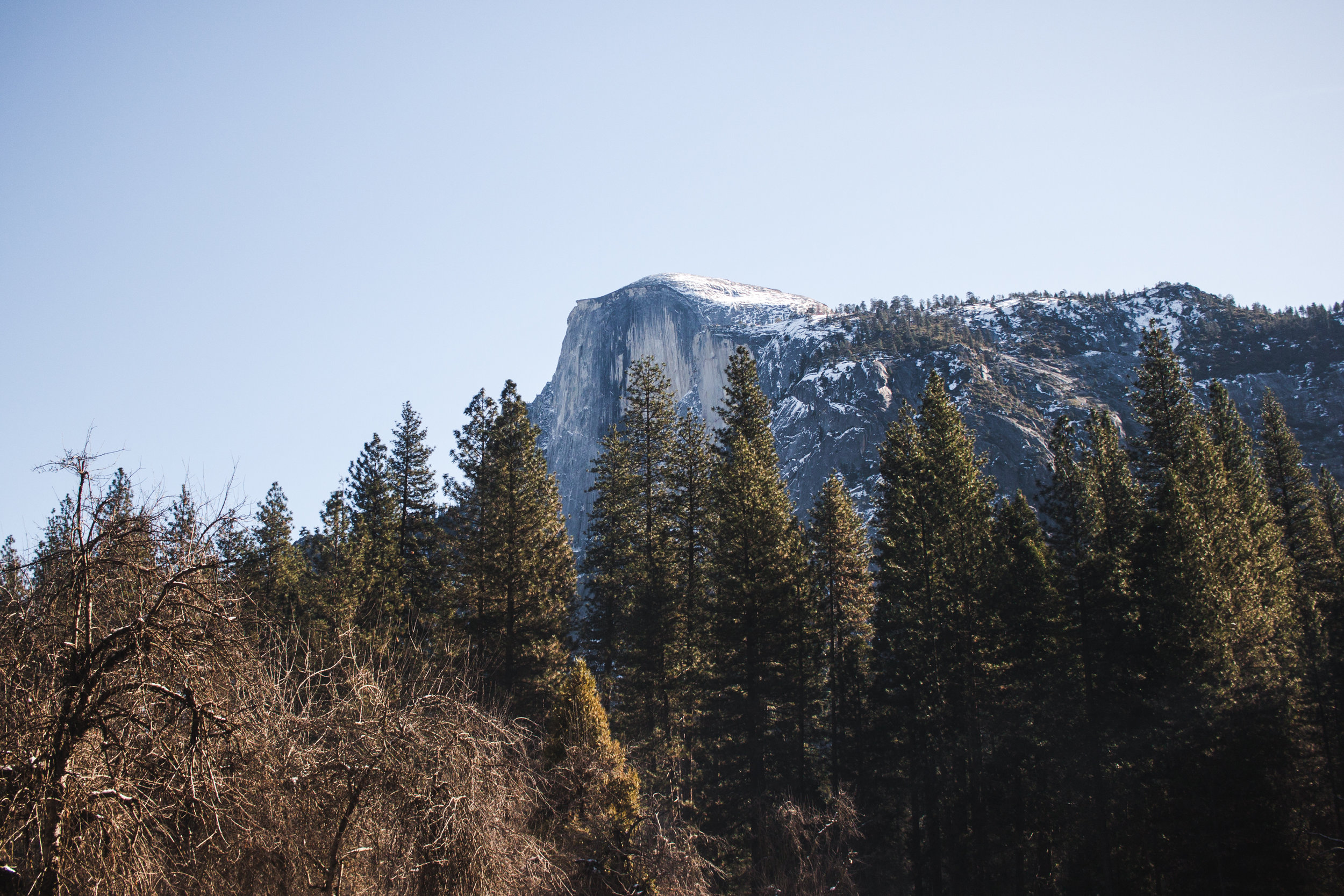 trip-117.jpg