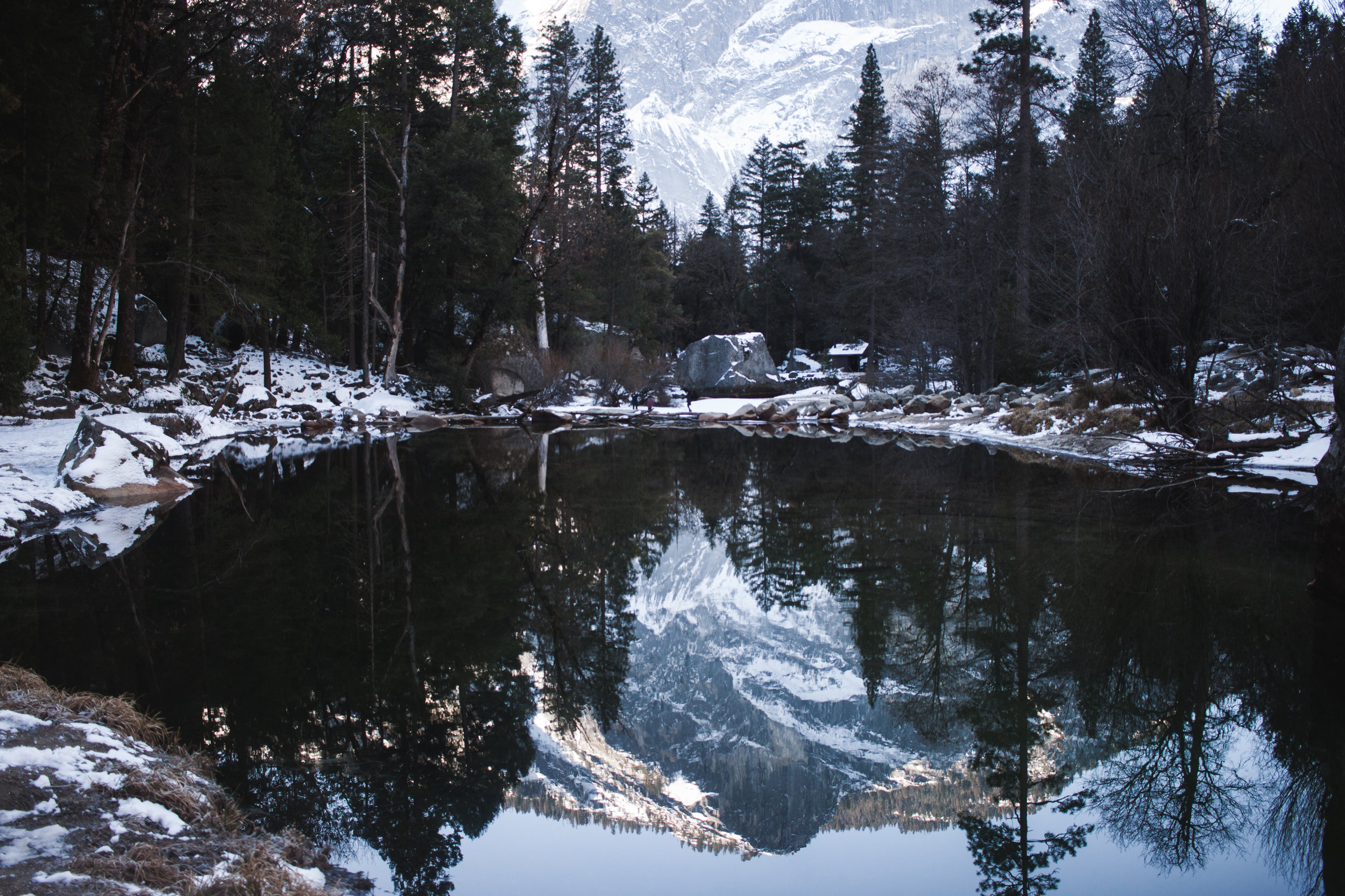 trip-61.jpg