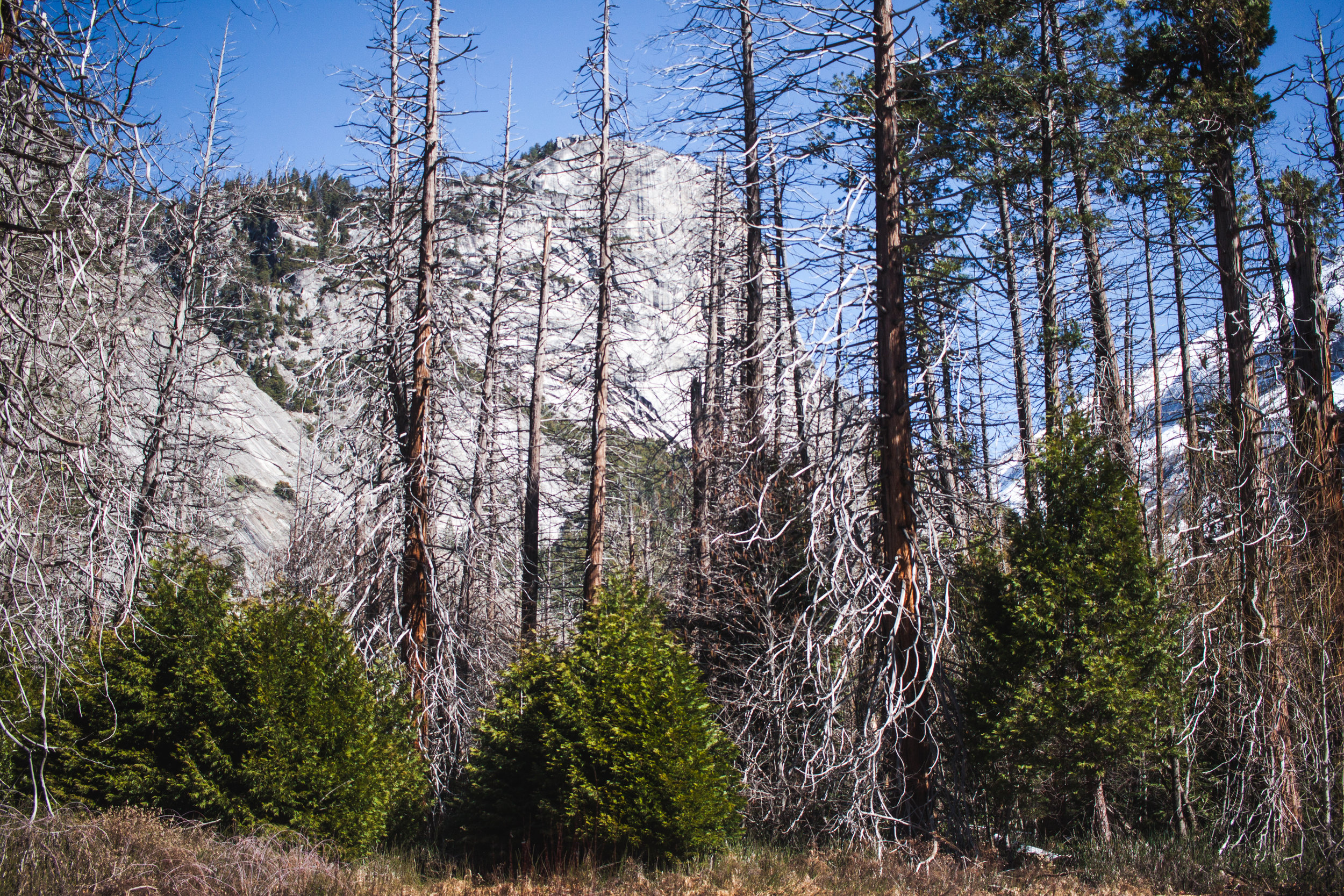 trip-127.jpg