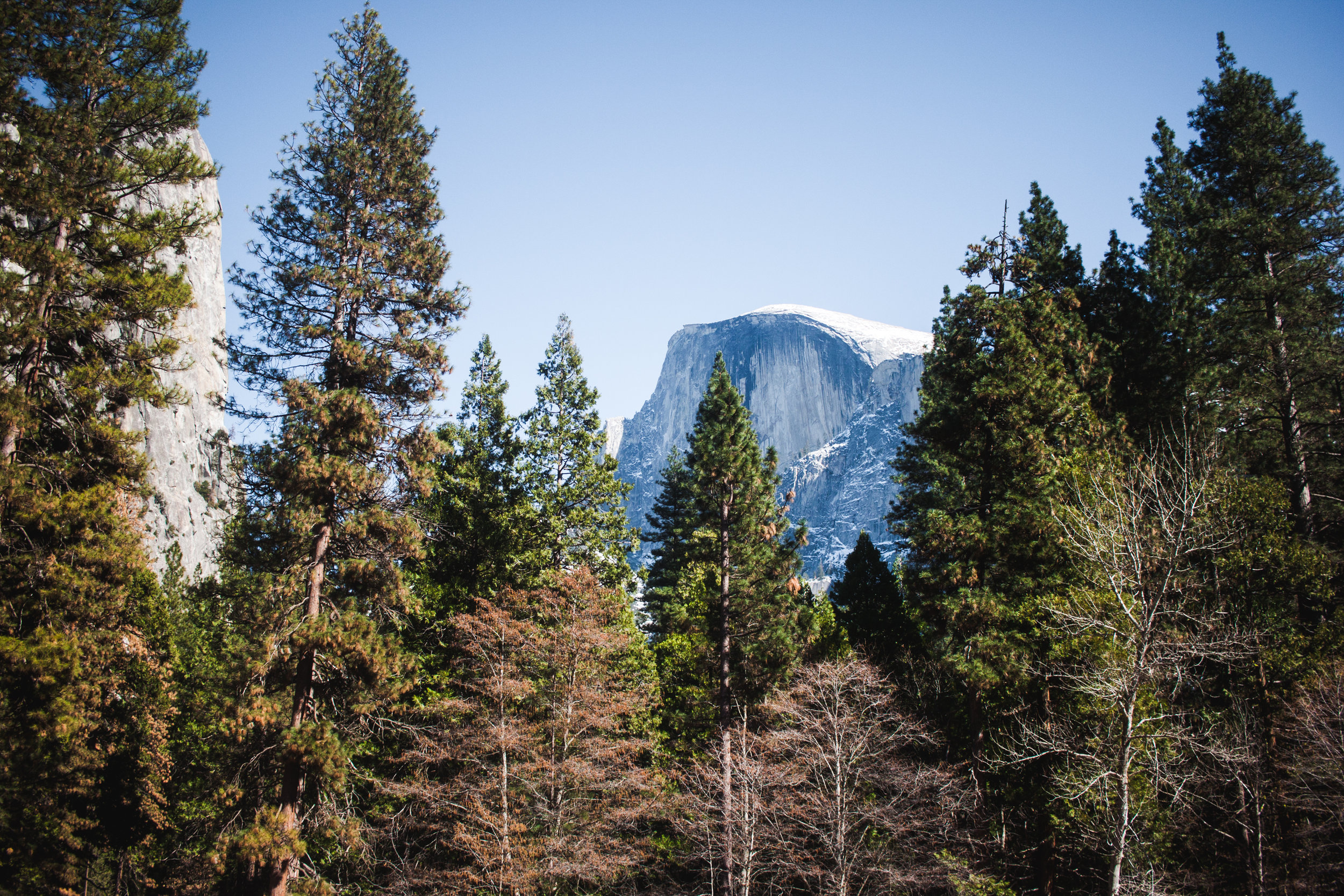 trip-139.jpg