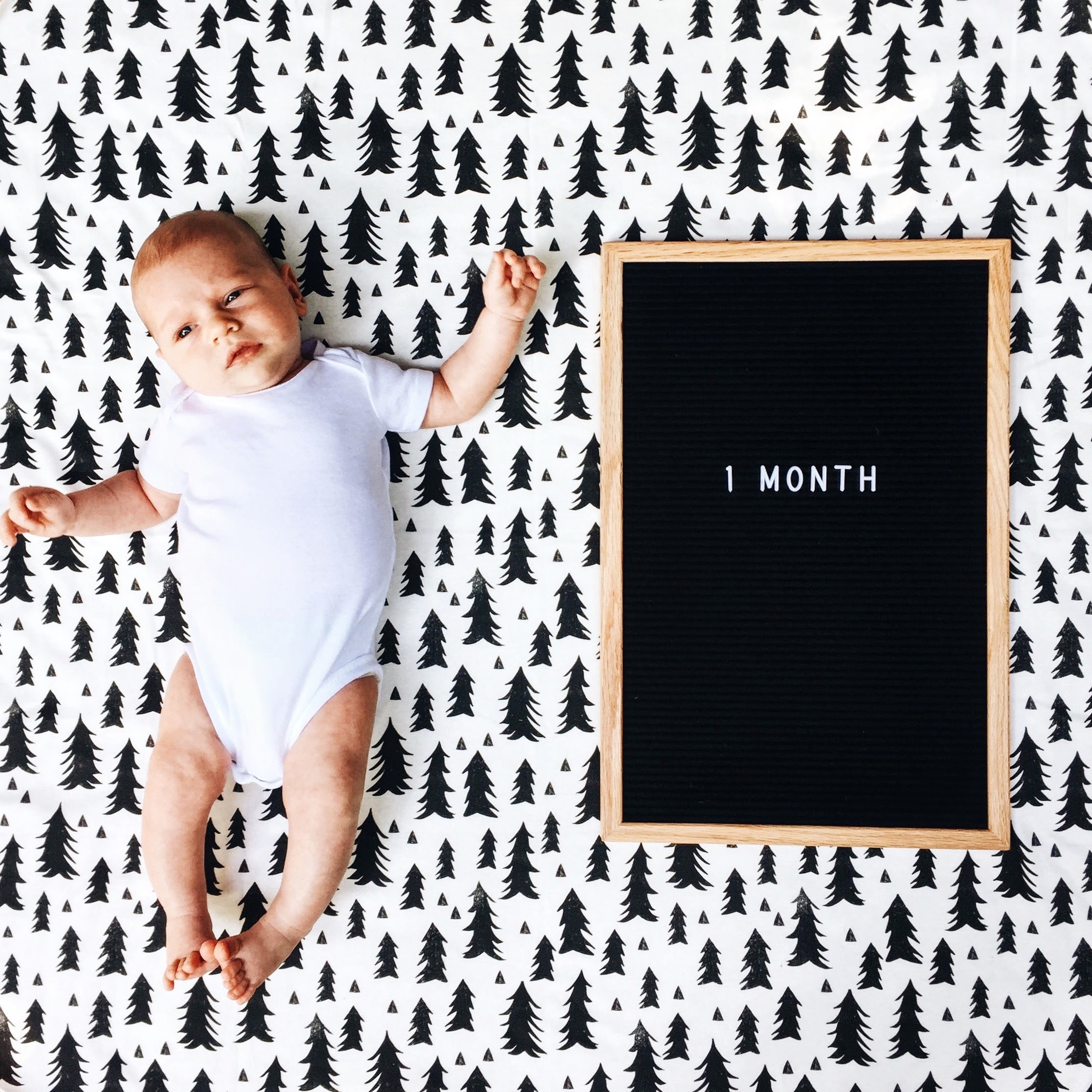 That was by far the fastest month of my entire life! Wow! What can I say to wrap up these first precious weeks with Gideon!? He's been working on crawling since day one and already has amazing neck support because of it. He fights sleep during the d…
