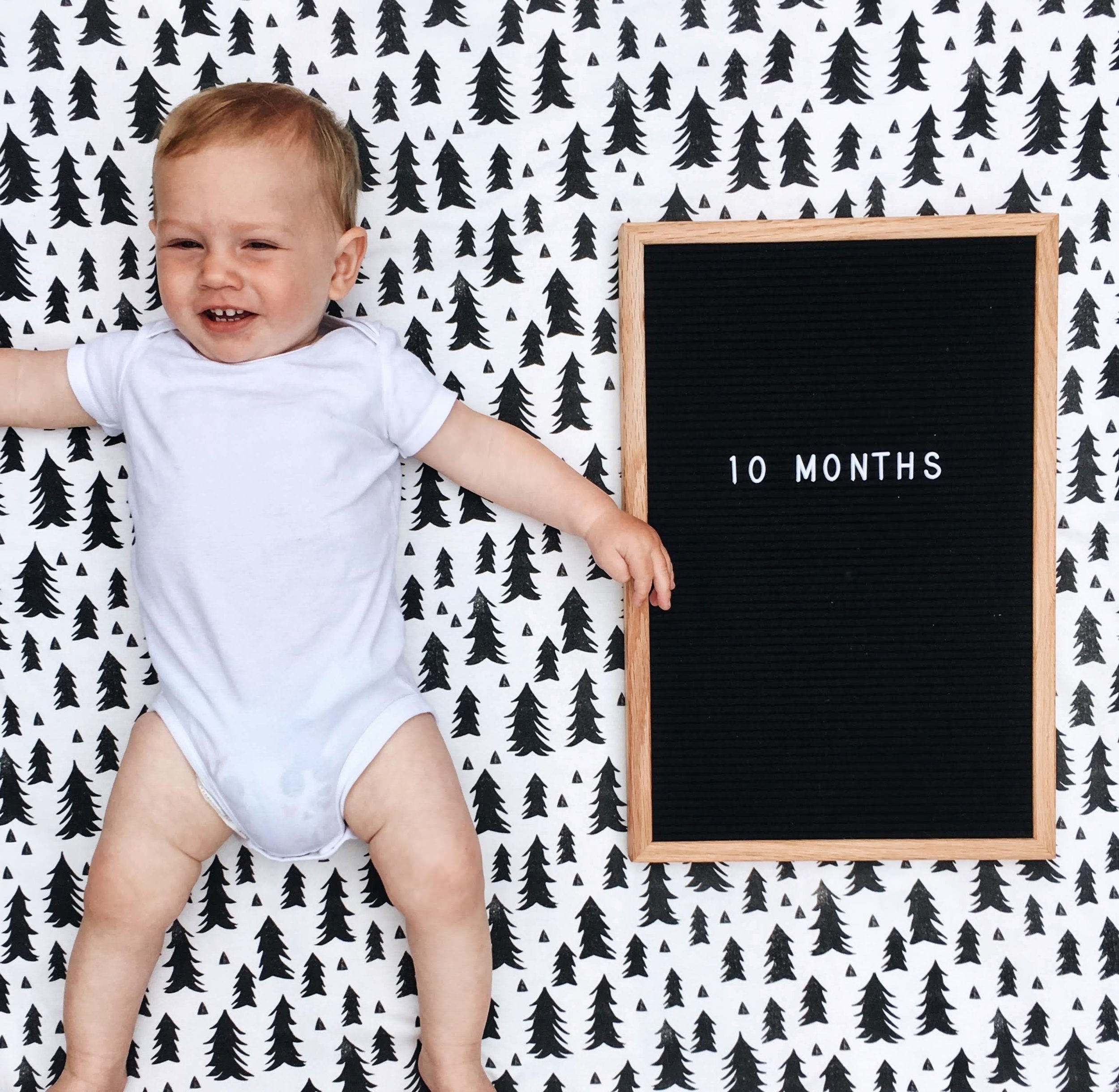 This boy! What a “mighty warrior” he truly is becoming! He’s so strong and fast and wild! And has 12 teeth!!! Gideon is full of life and more theatric and entertaining than ever! This month he started free standing and took his first steps and of co…