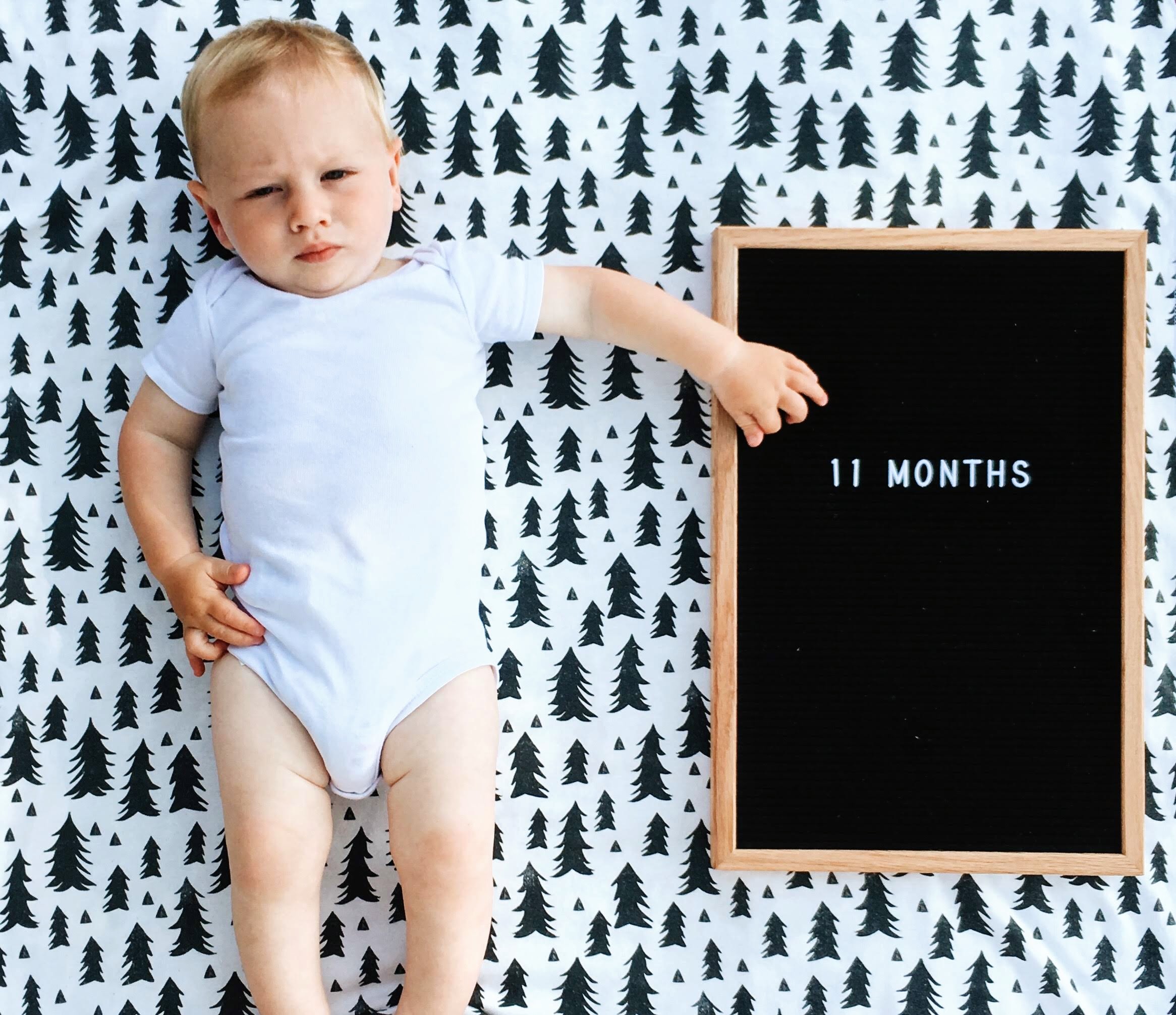 This was the month of true walking excitement. Every day has come with a new standing challenge and he met every one. For one, he is now standing up on his own, without the assistance of me or an object. I’m so excited to see him start walking all t…