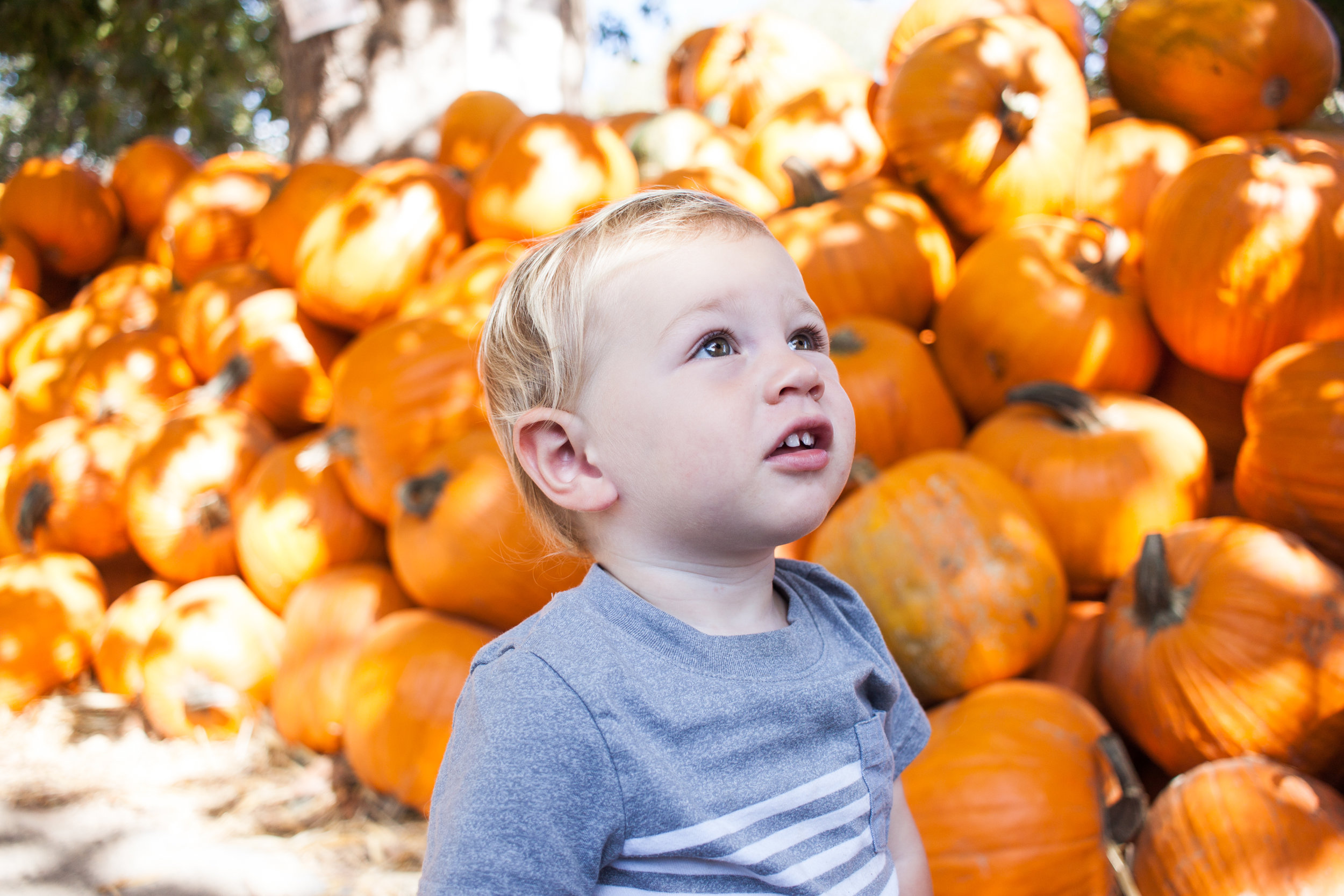 pumpkins18-6.jpg