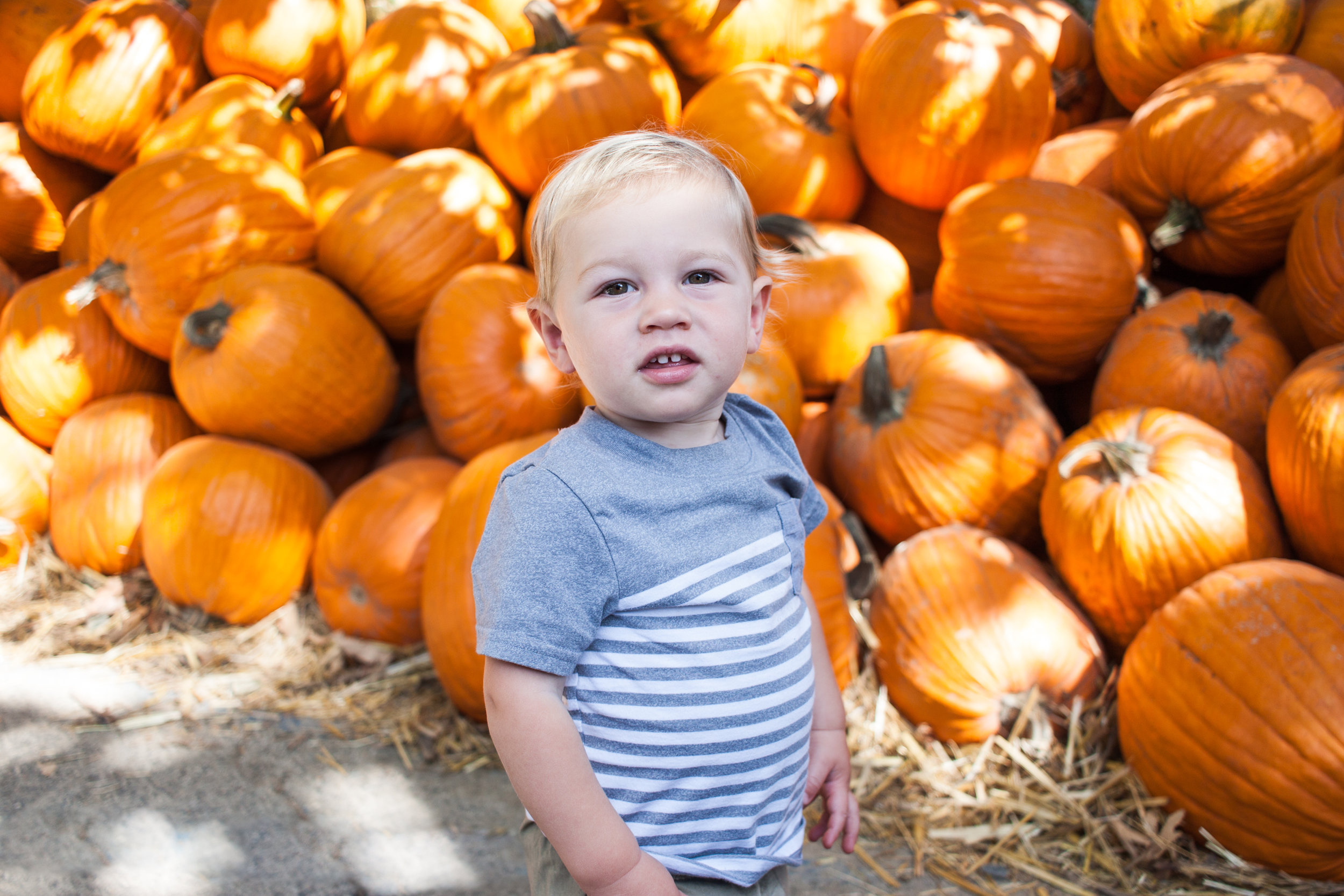 pumpkins18-2.jpg