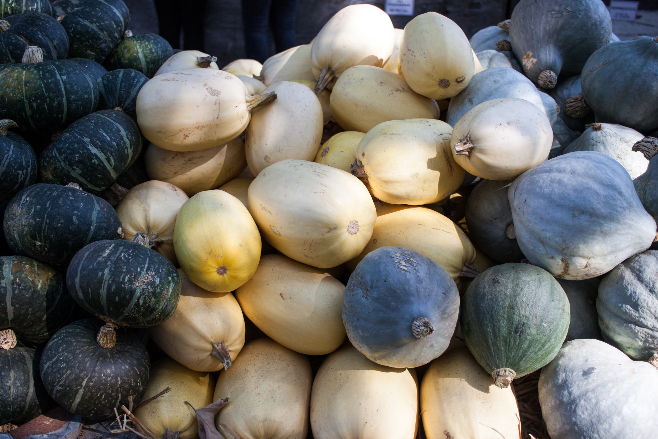 pumpkins18-34.jpg