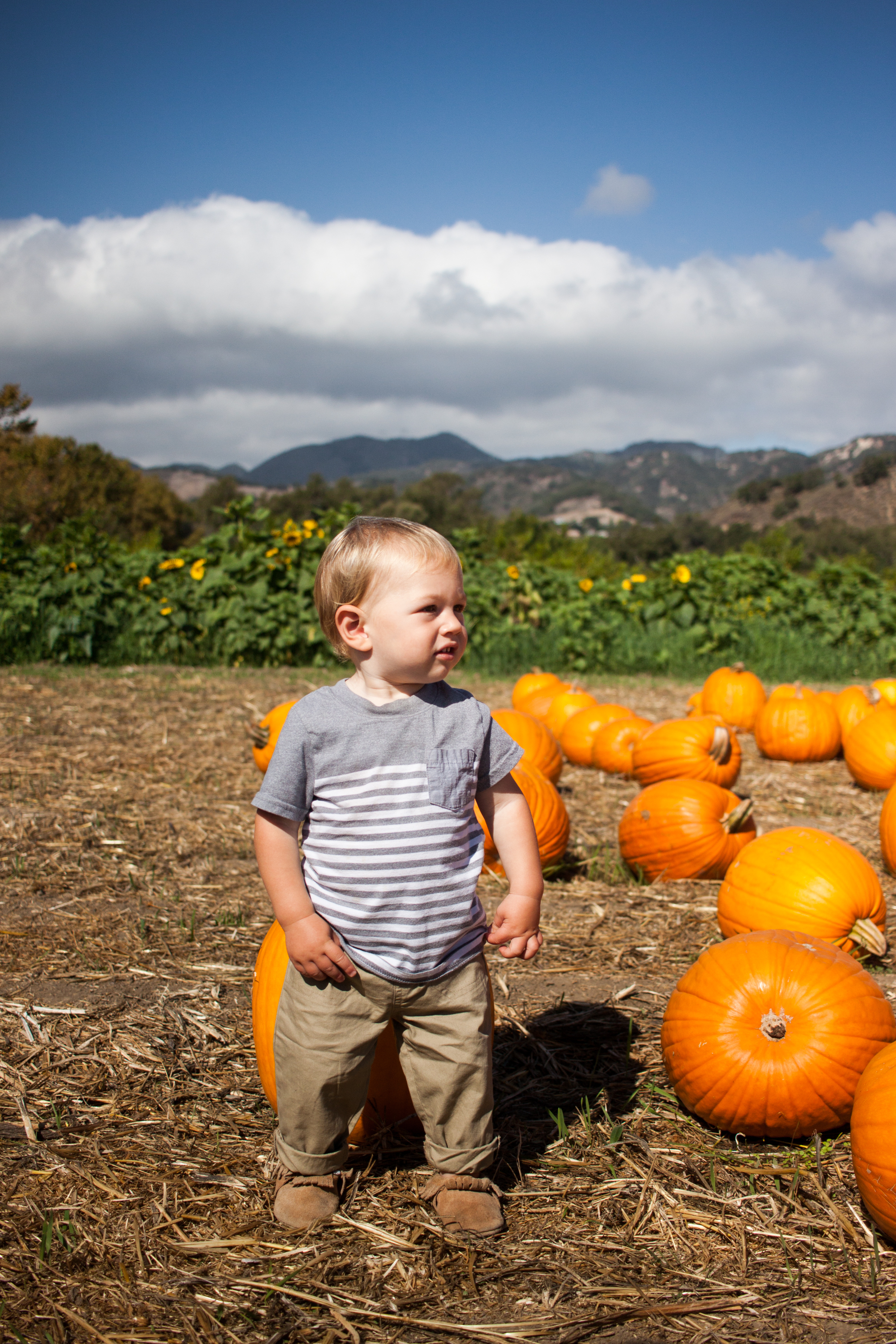 pumpkins18-39.jpg