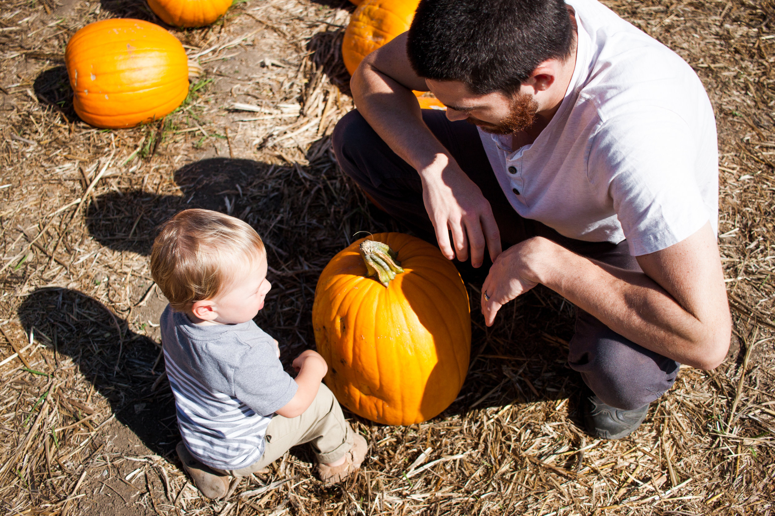 pumpkins18-69.jpg