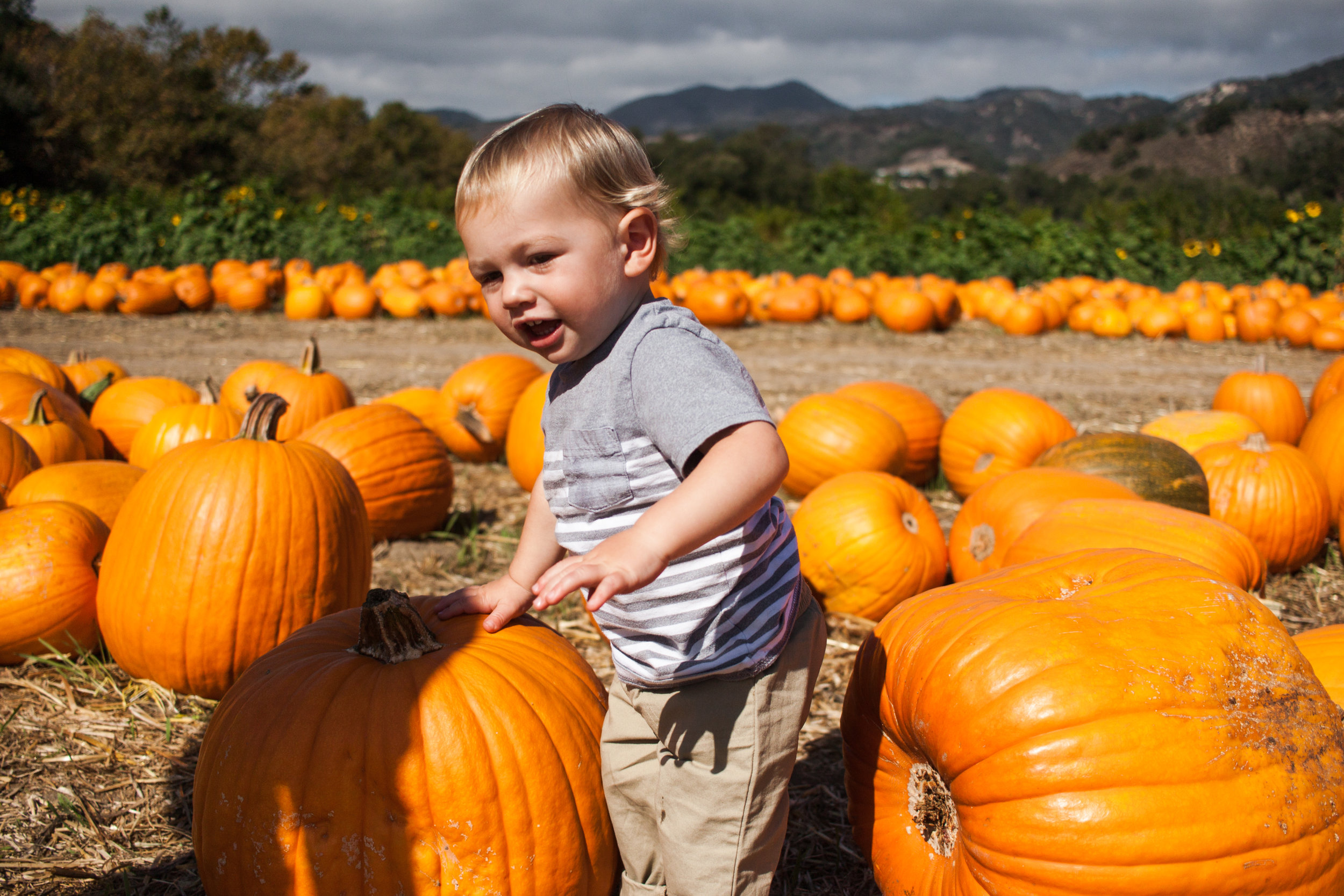 pumpkins18-75.jpg