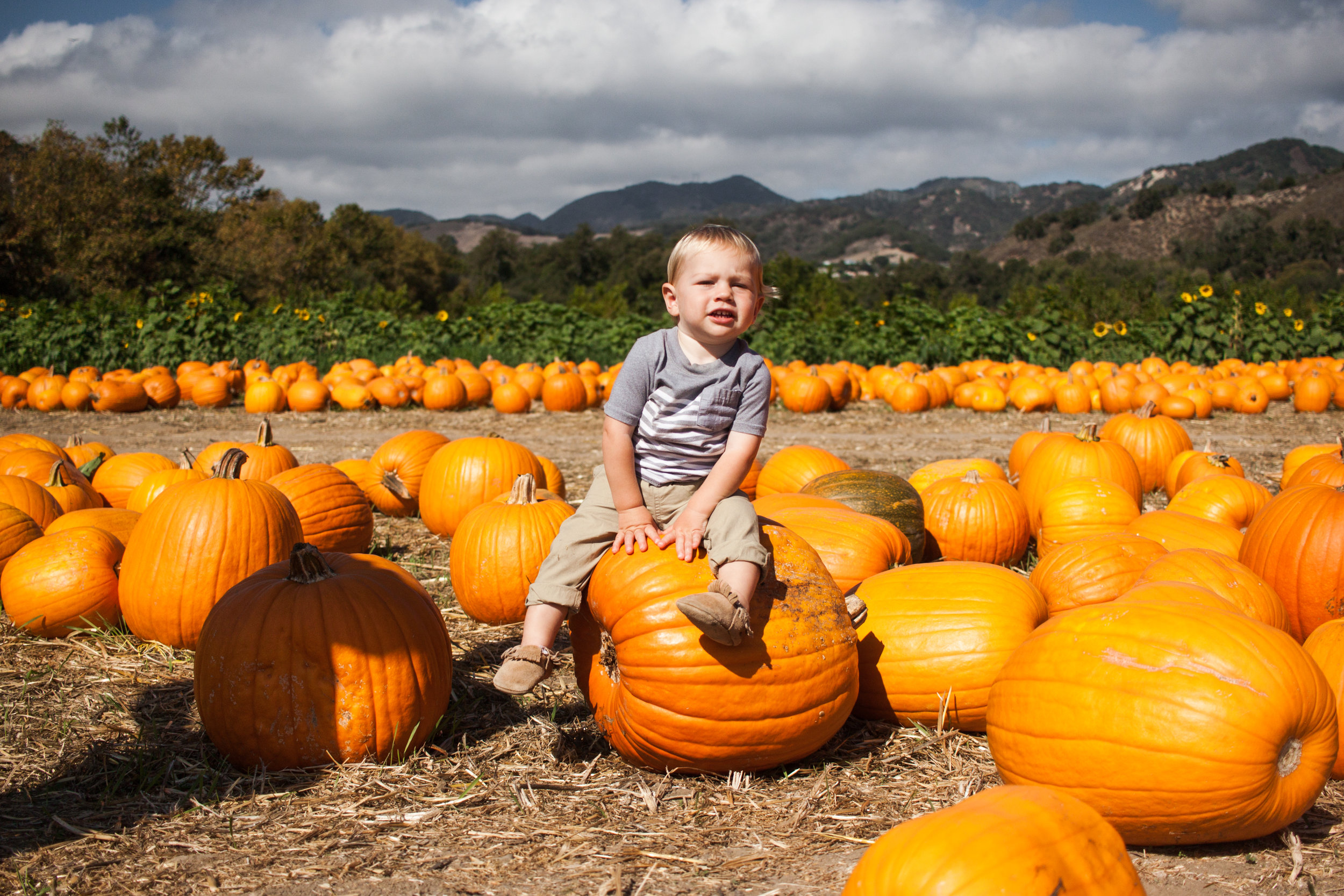 pumpkins18-73.jpg