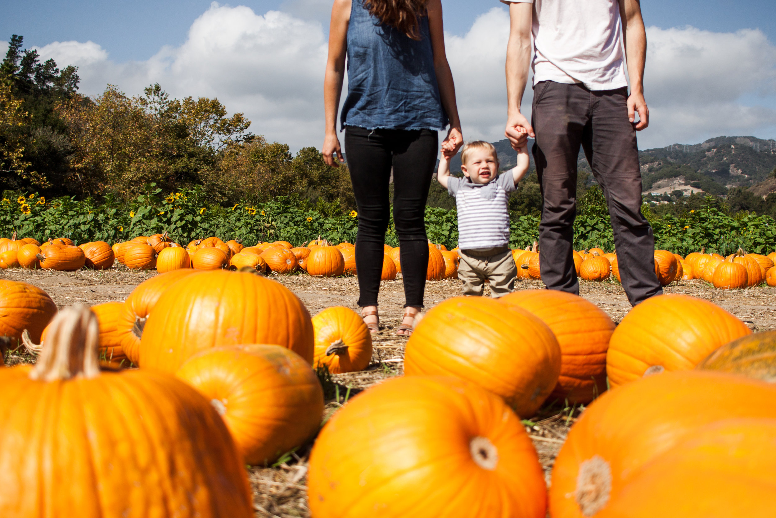 pumpkins18-88.jpg