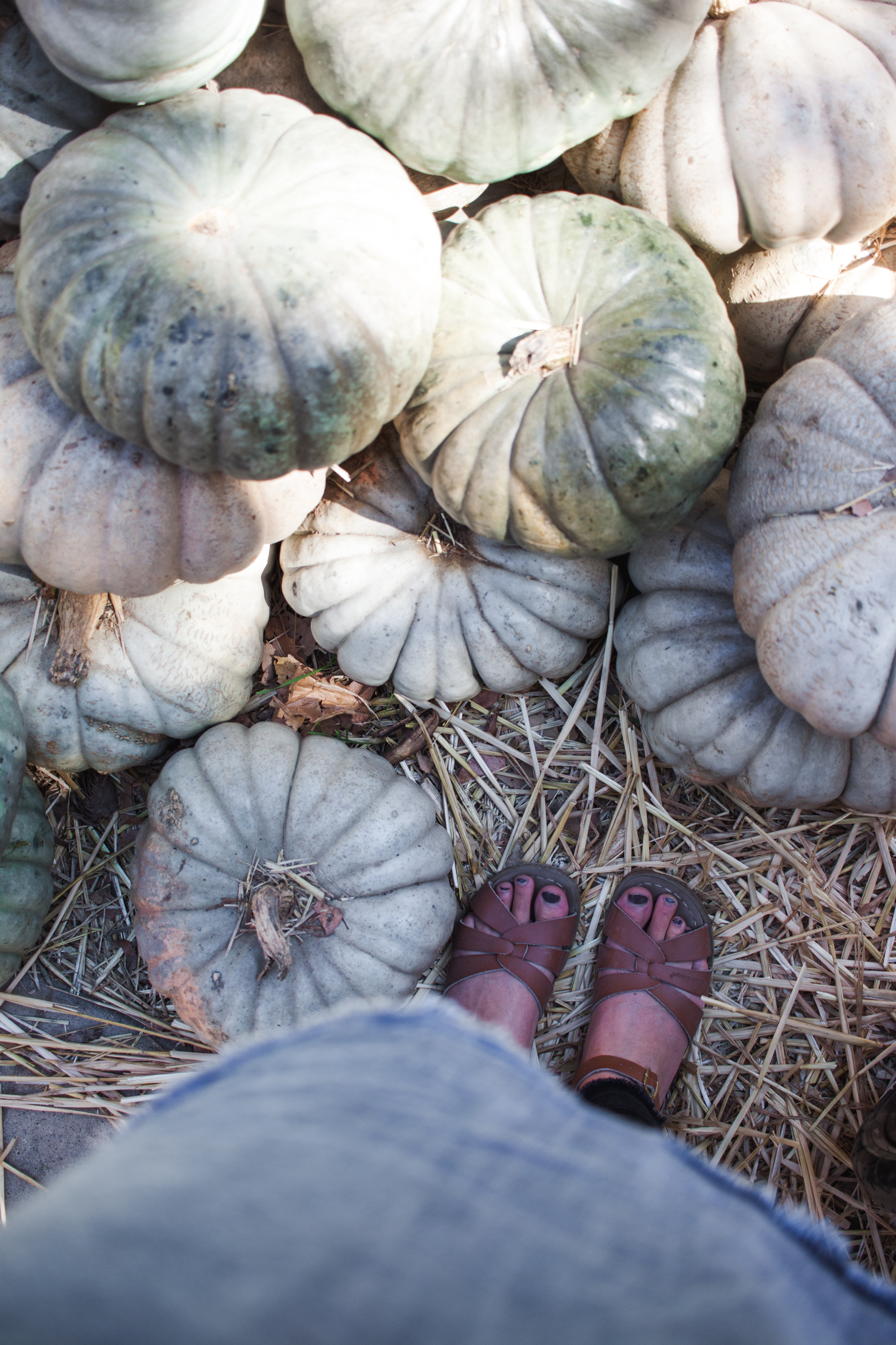 pumpkins18-170.jpg