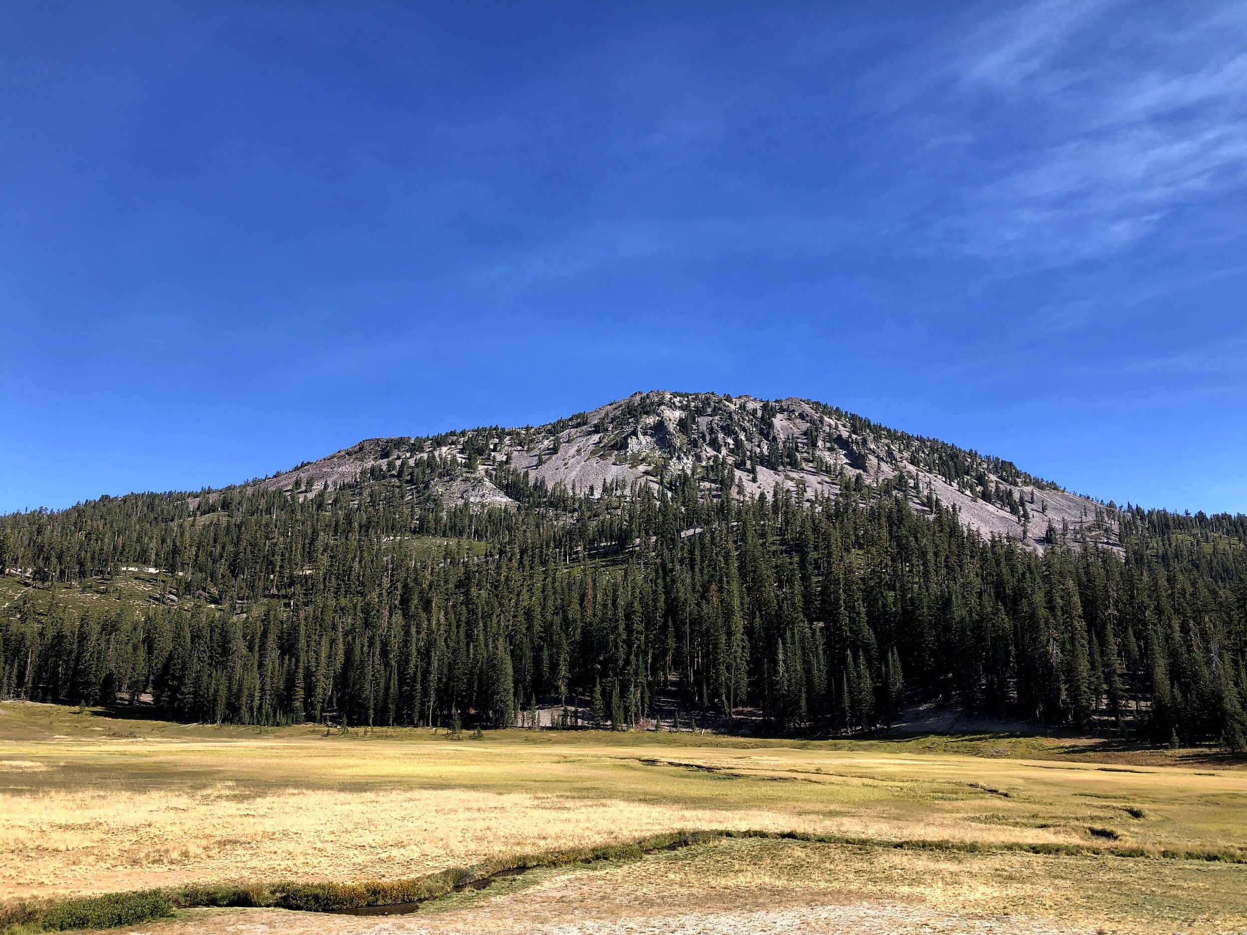 IMG_6409.jpg