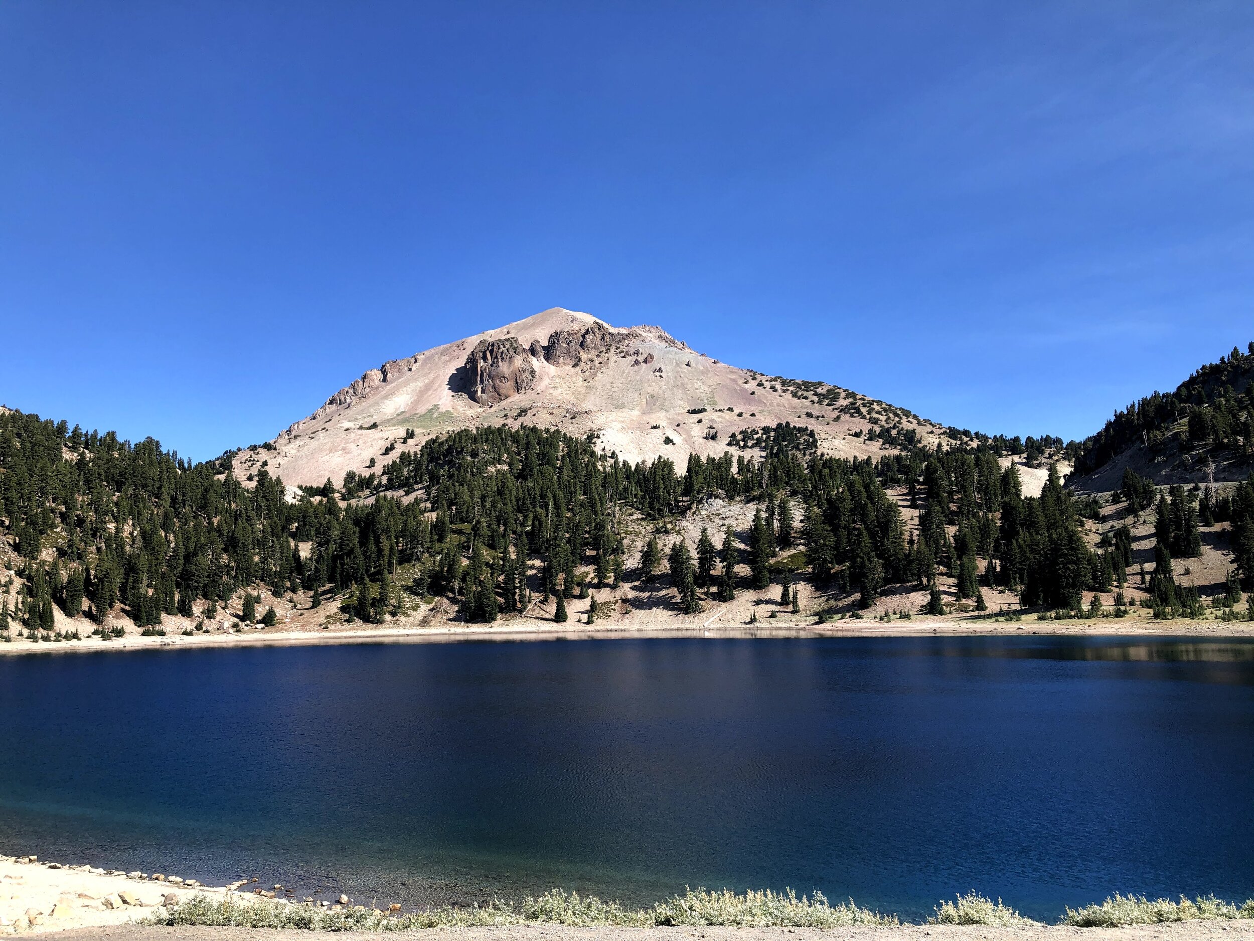 IMG_6440.jpg