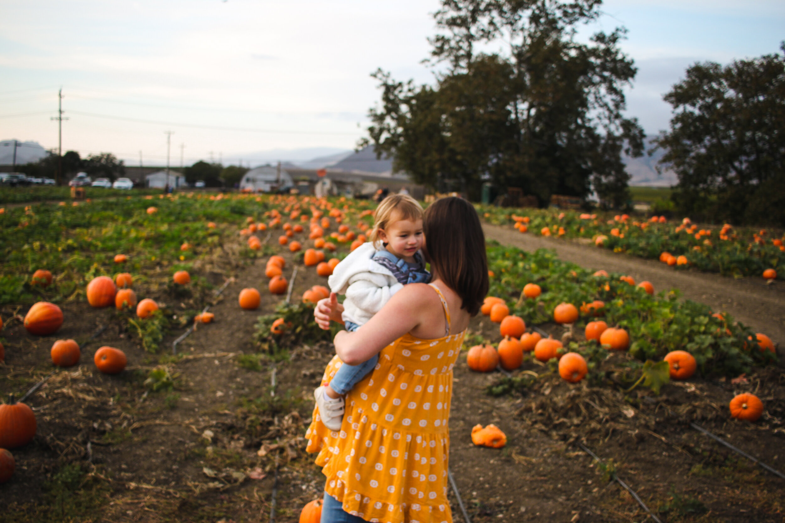 pumpkin-64.jpg